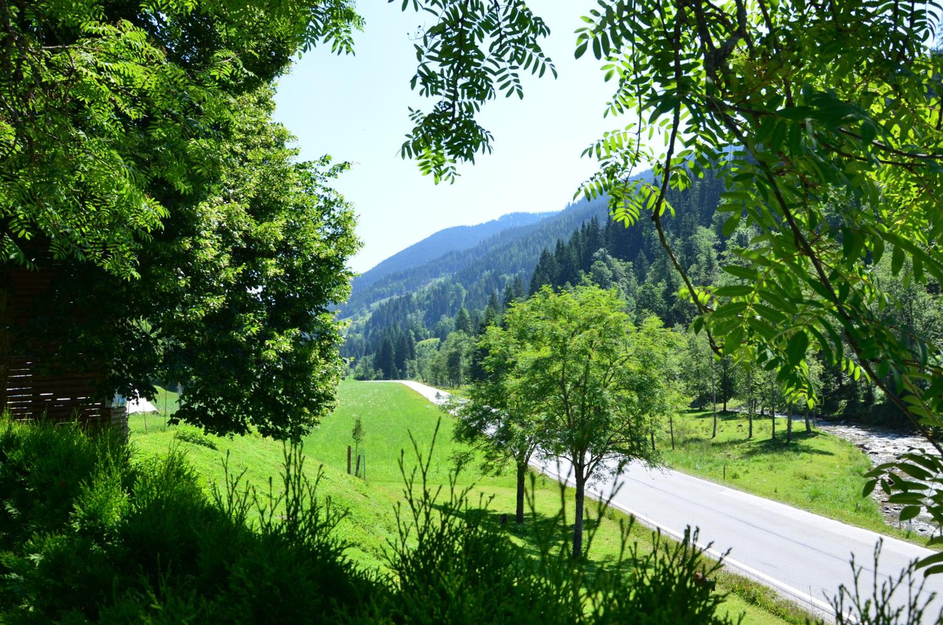 Schattaugut
