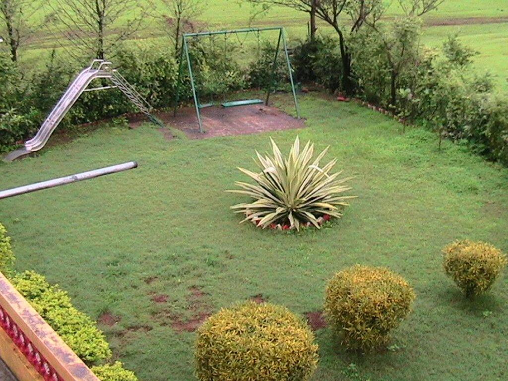 Photo 7