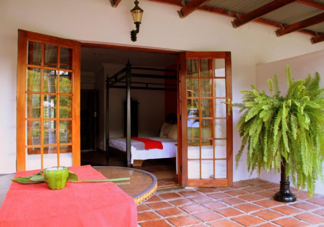 Orange-Ville Lodge & Guesthouse view 4