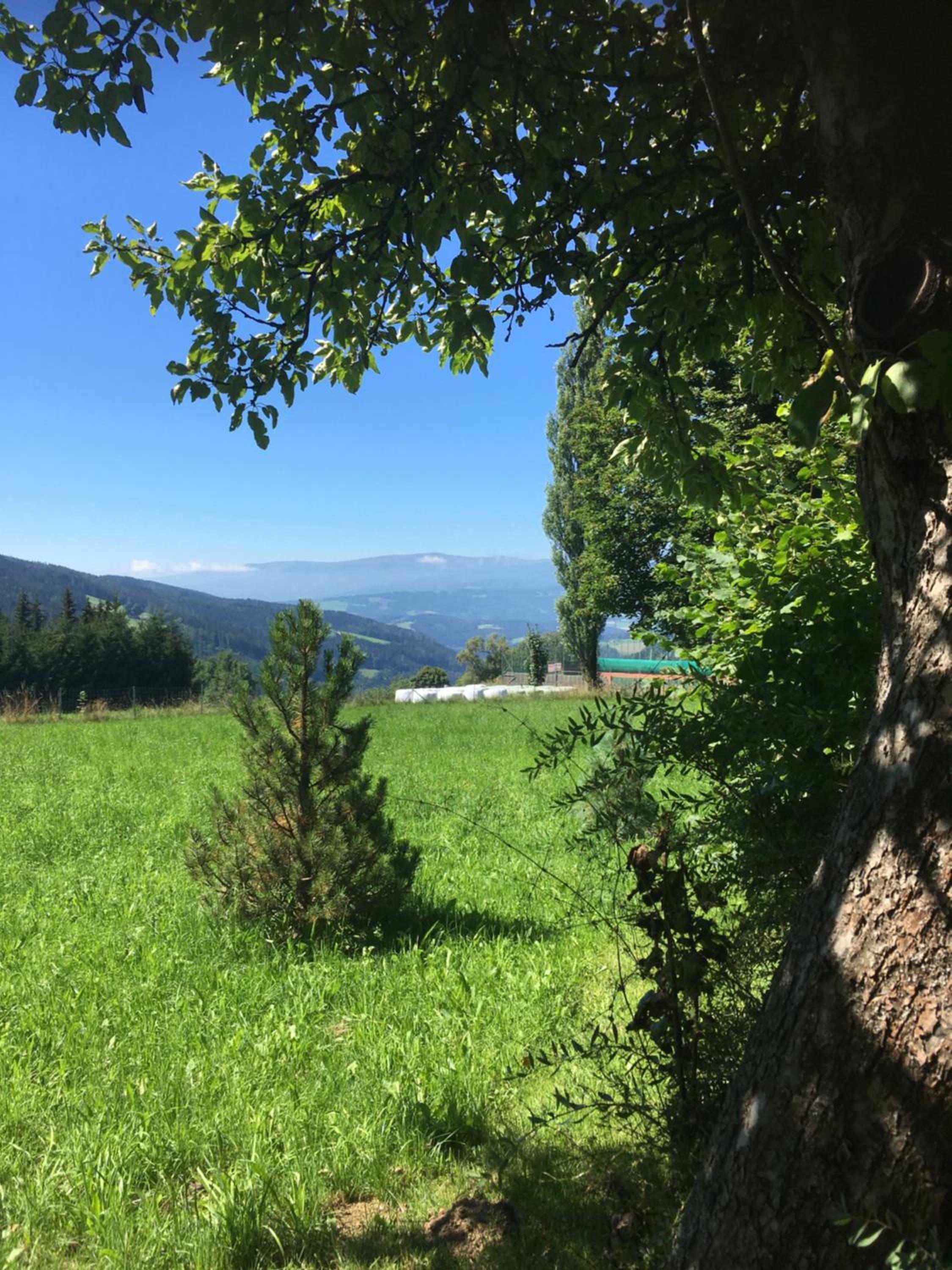 Naturforsthaus Gartenblick für Hunde - und naturverbundene Menschen