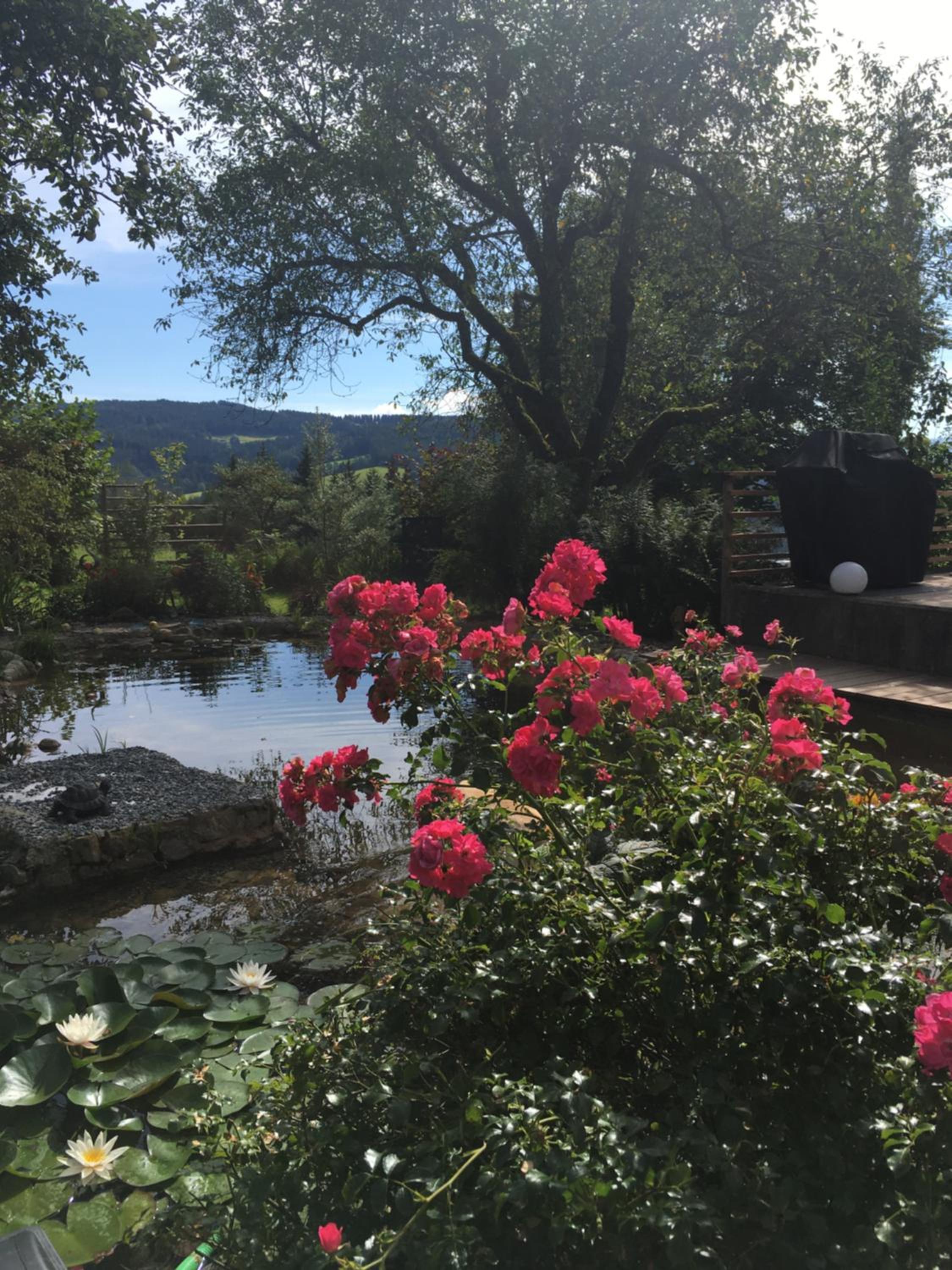 Naturforsthaus Gartenblick für Hunde - und naturverbundene Menschen