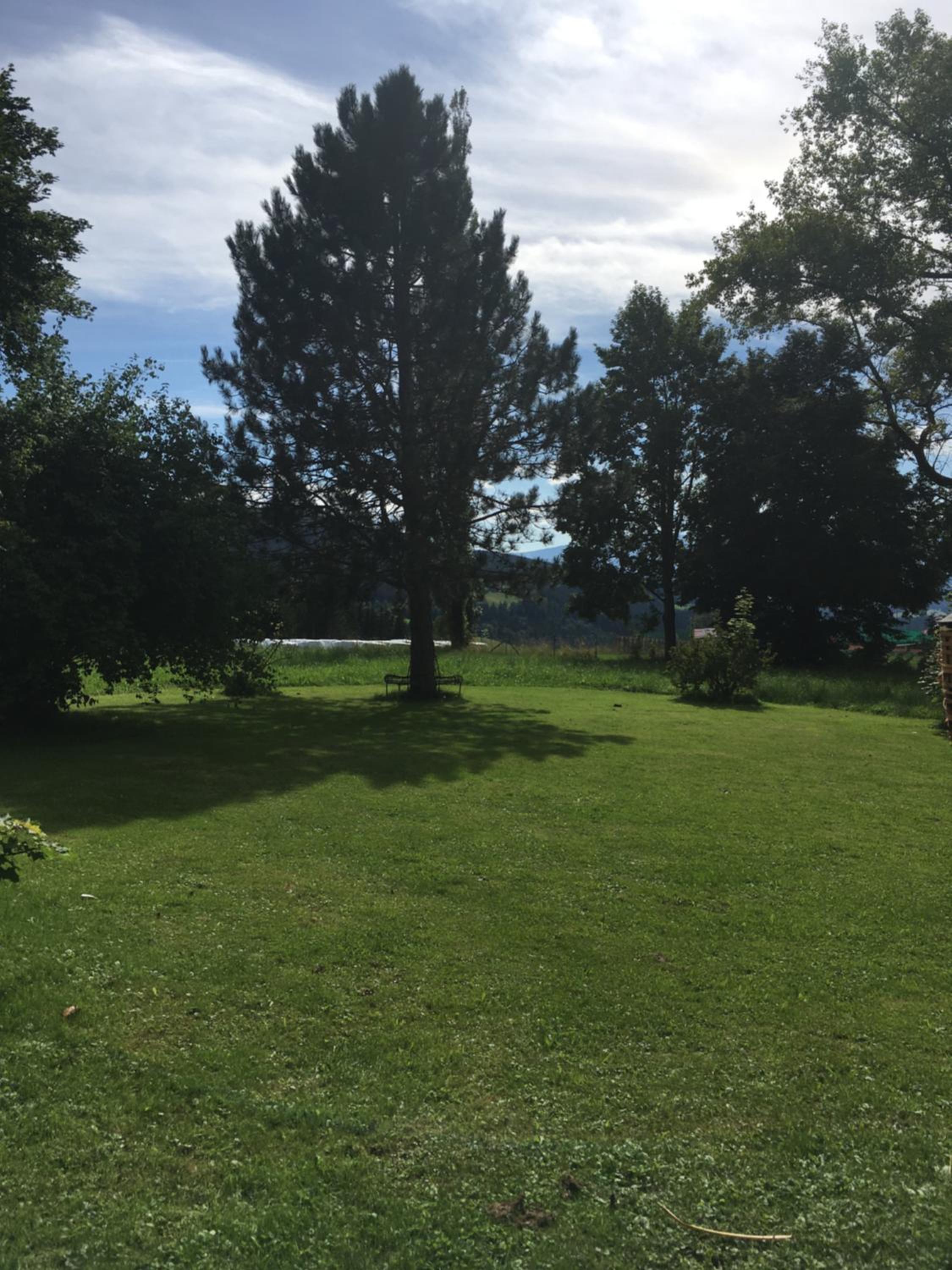 Naturforsthaus Gartenblick für Hunde - und naturverbundene Menschen