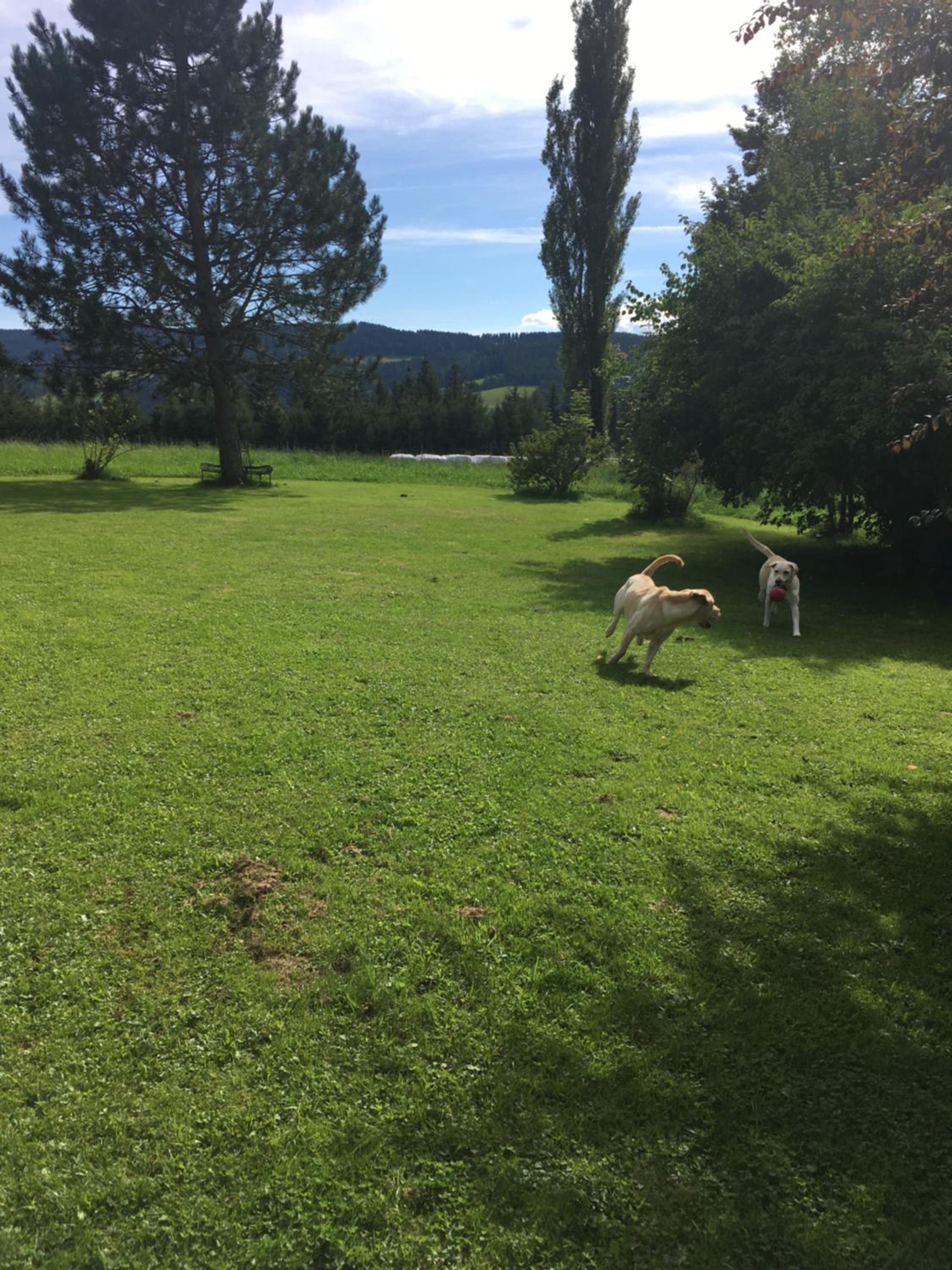 Naturforsthaus Gartenblick für Hunde - und naturverbundene Menschen