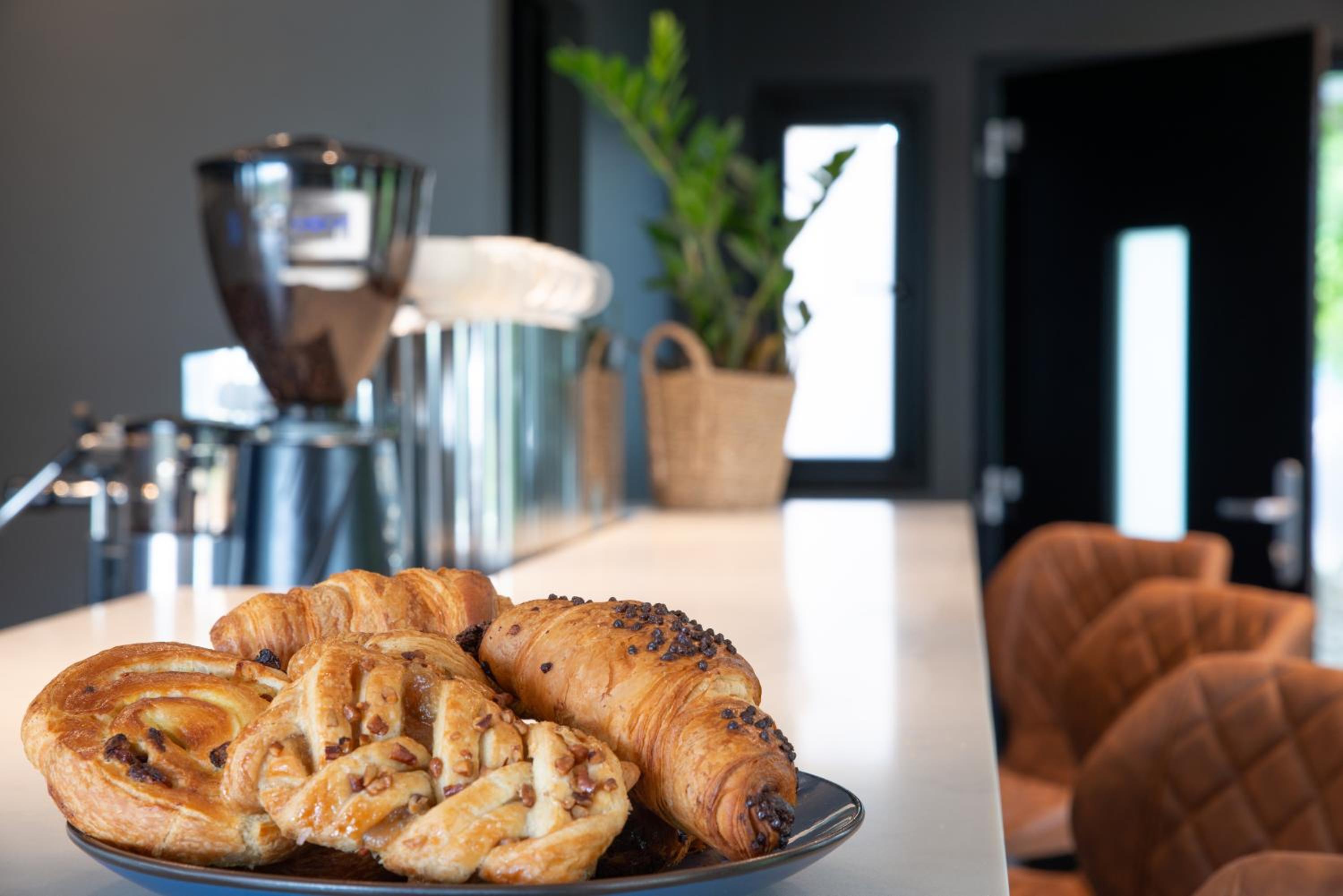 Hotel Rockmount Rooms & Apartment - Image 1