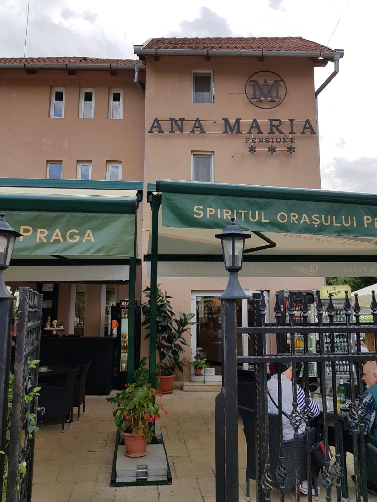 Hotel Pensiunea Ana Maria - Image 1