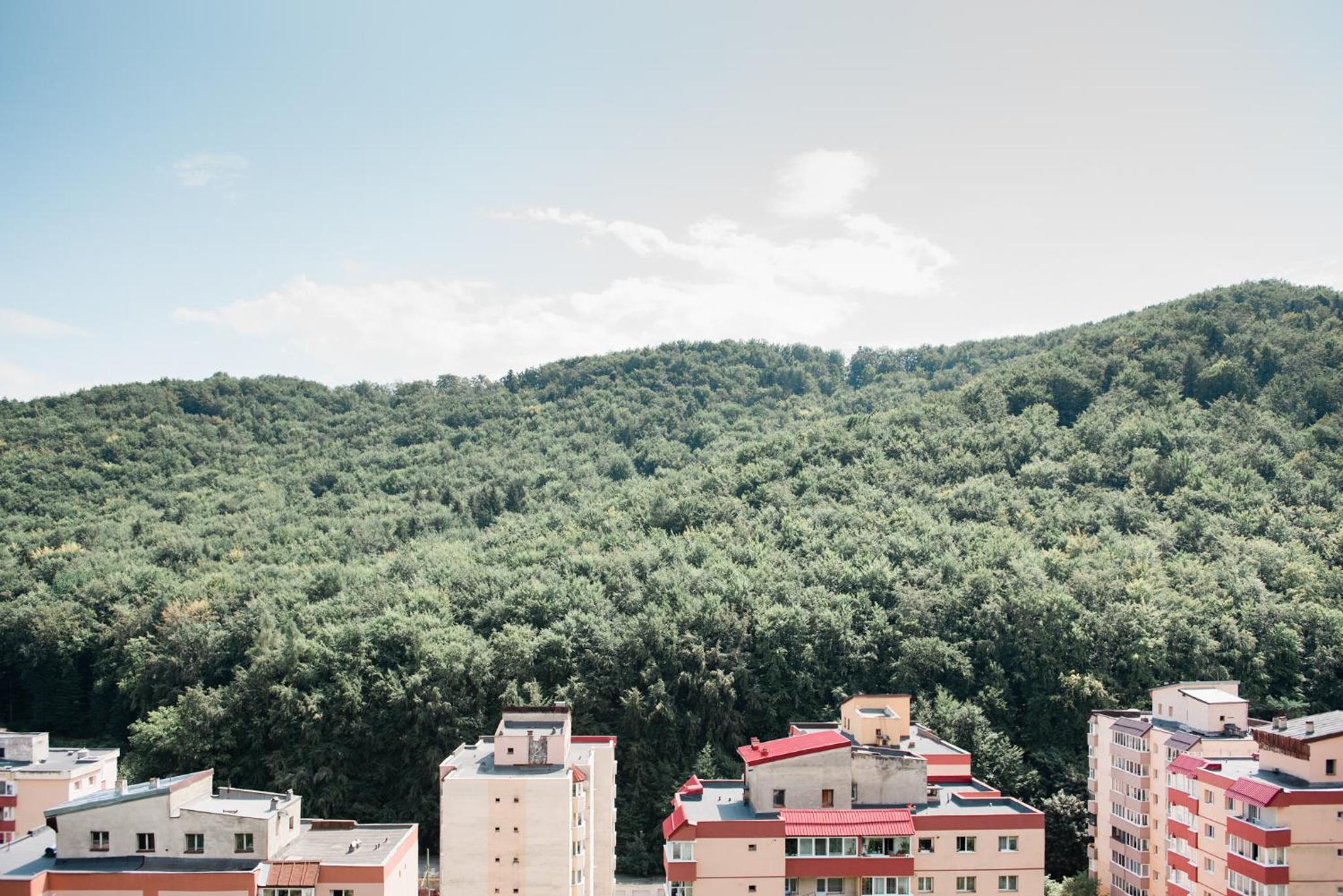 Nature Escape Apartment view 5
