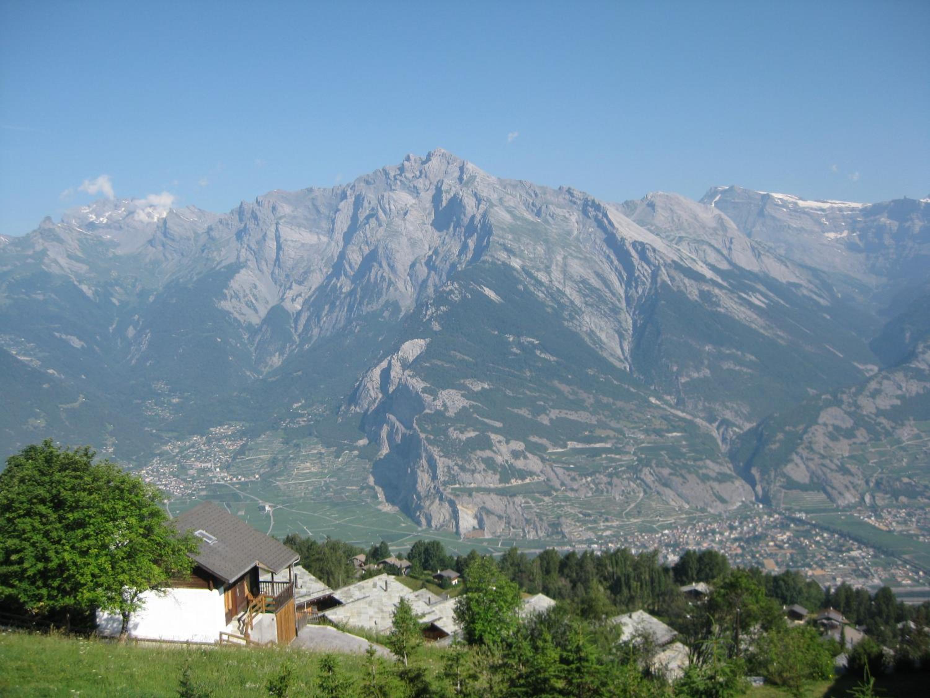 Photo 44