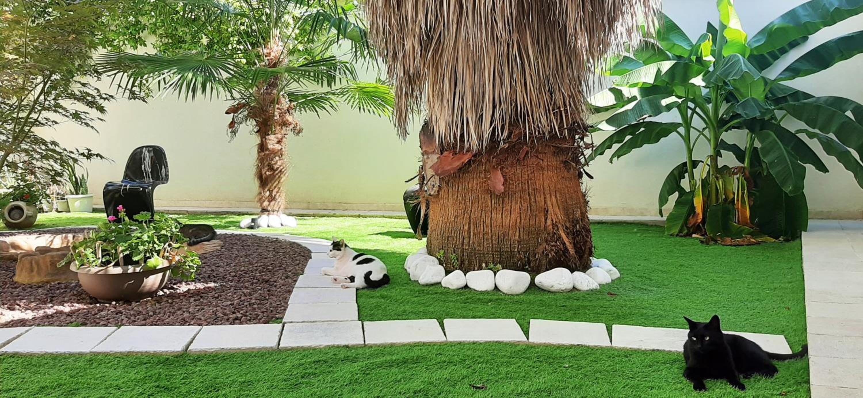 Villa Belohorizonte view 4