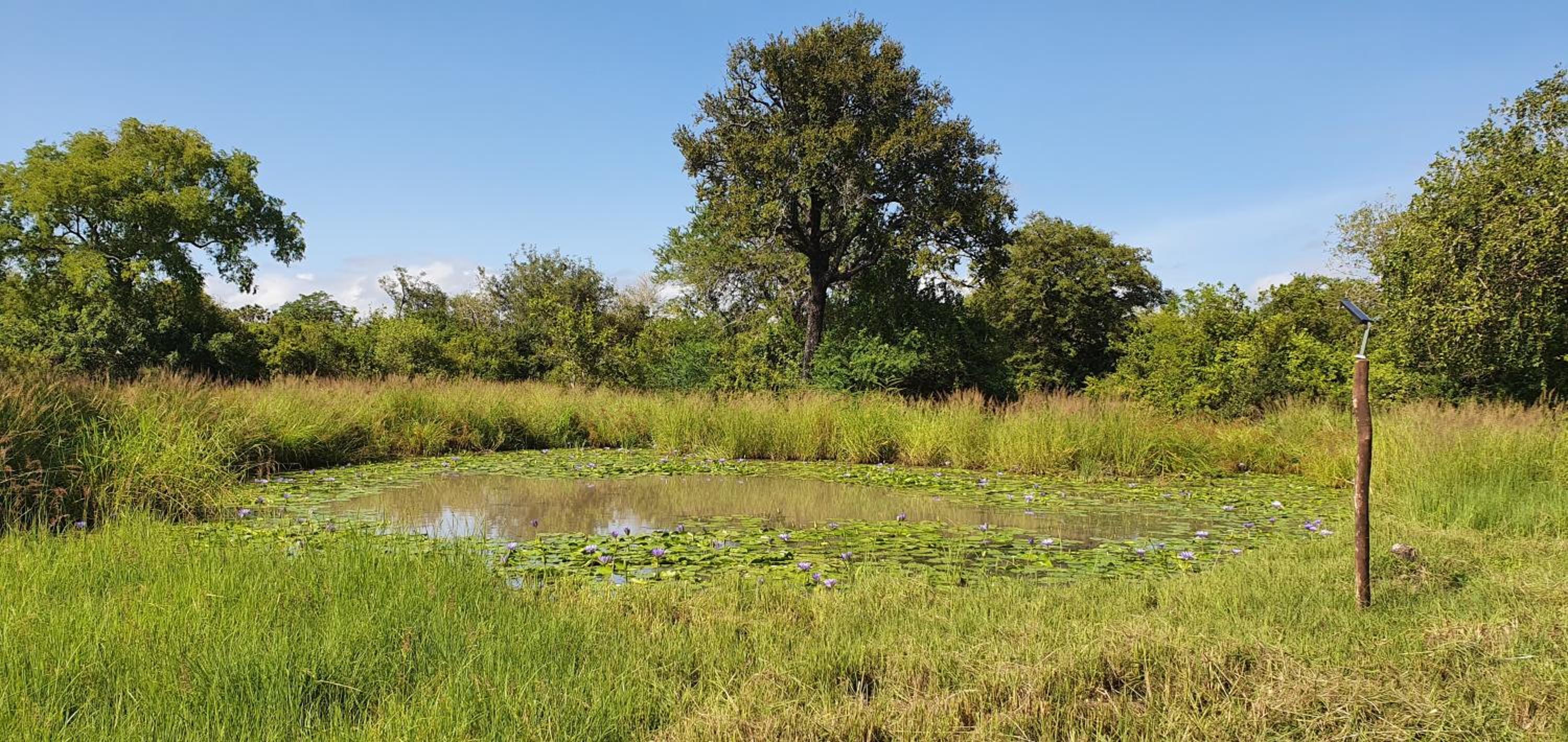 Africa Safari Selous Nyerere national park view 3
