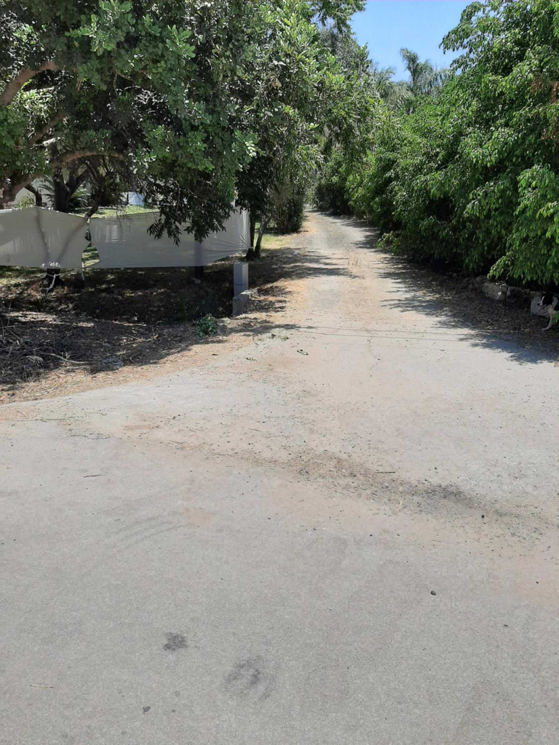 Photo 20