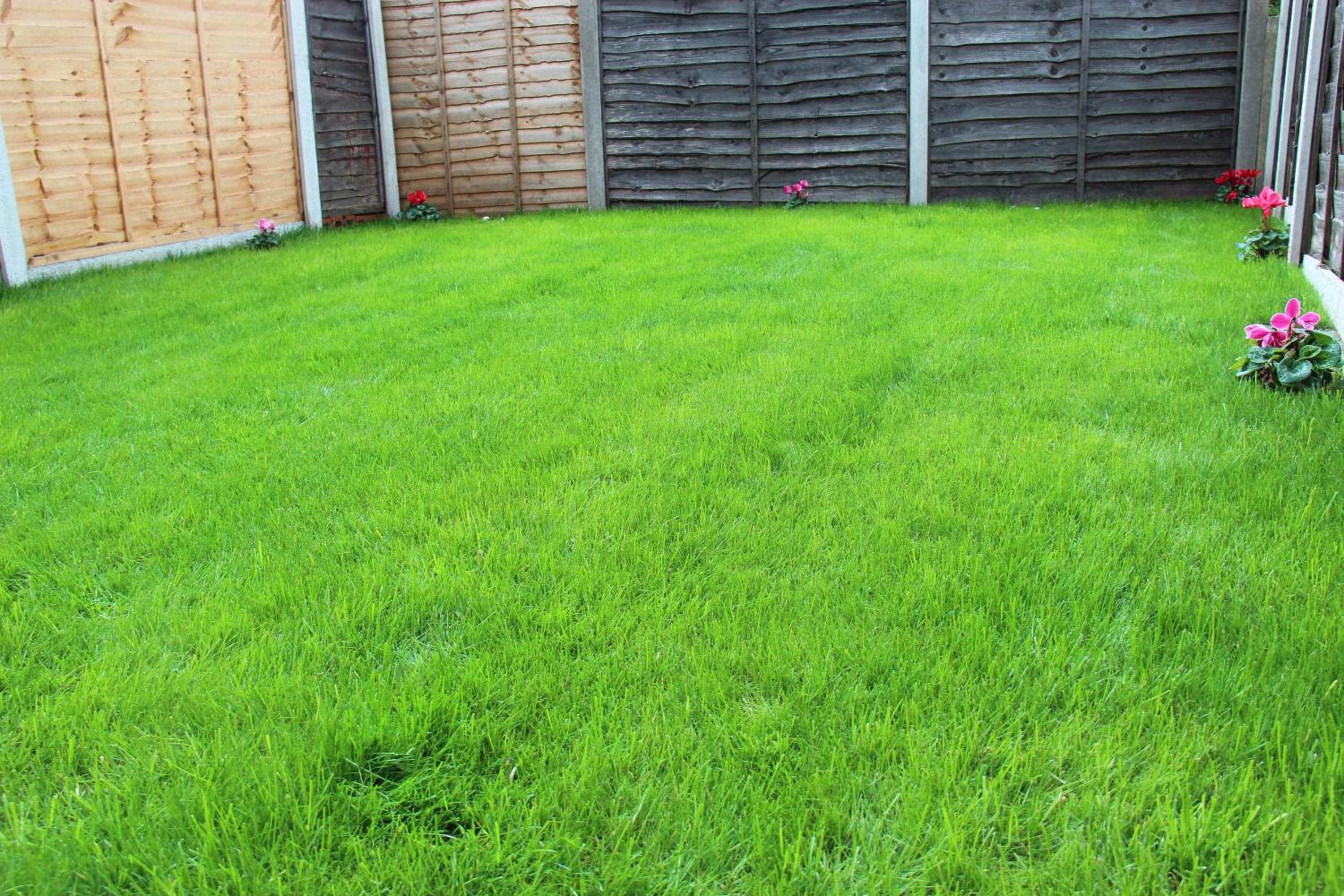 Photo 49