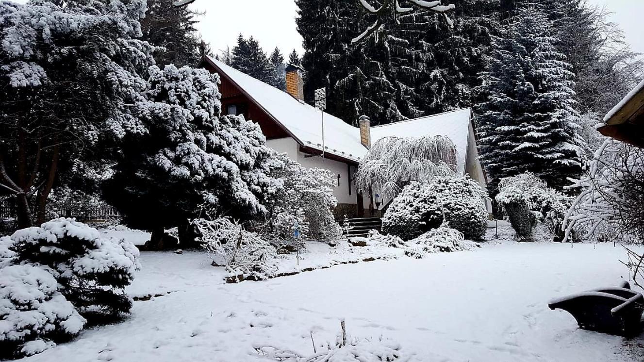 Chaloupka u lesa