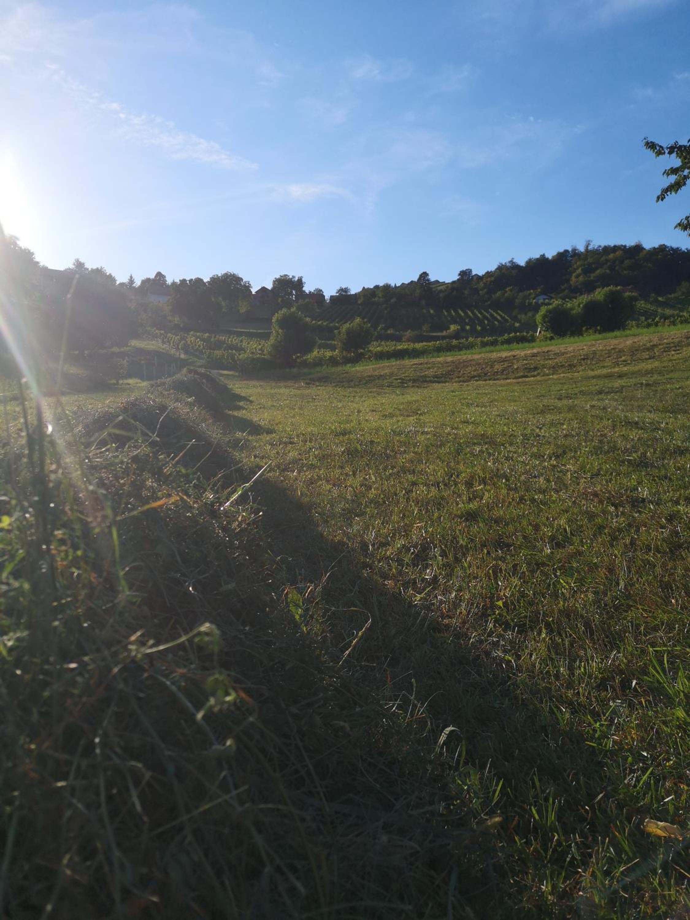 Apartma Gorca Plevnik