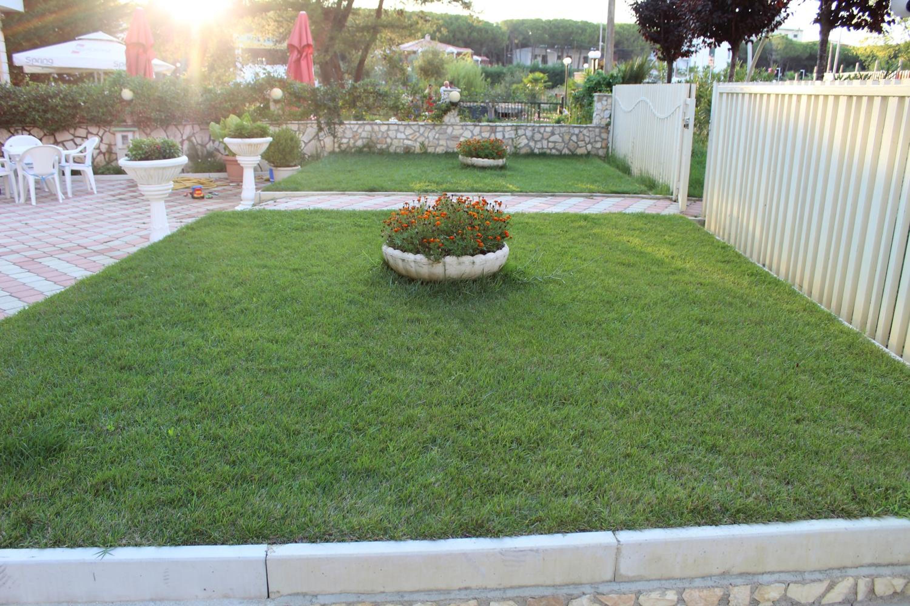 garden
