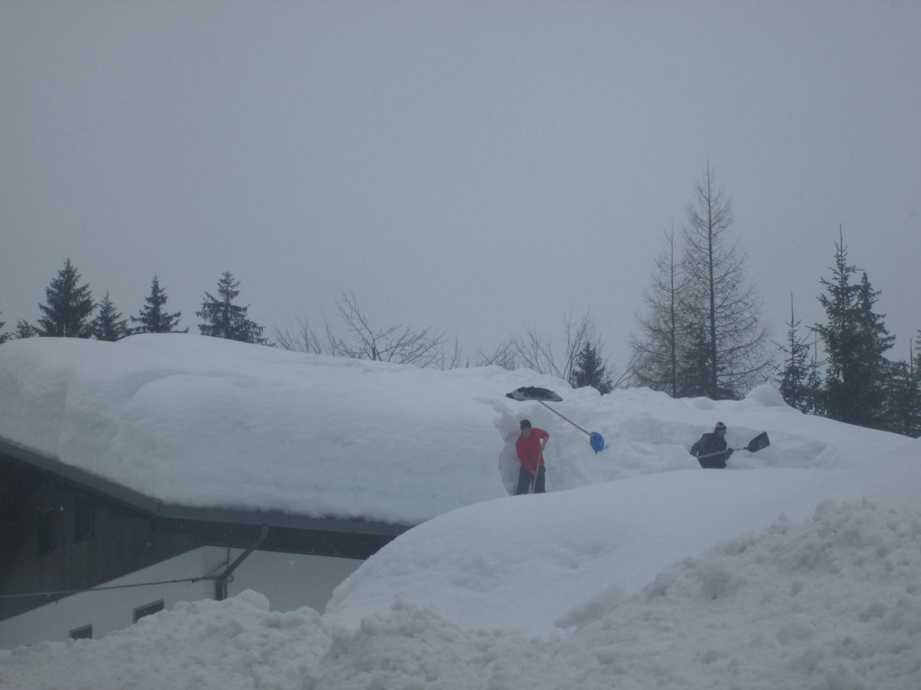Photo 45