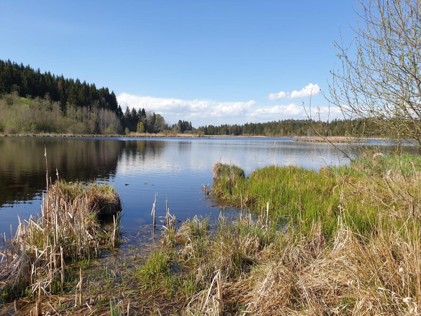 Ferienwohnung Rupp Bergblick & private Sauna