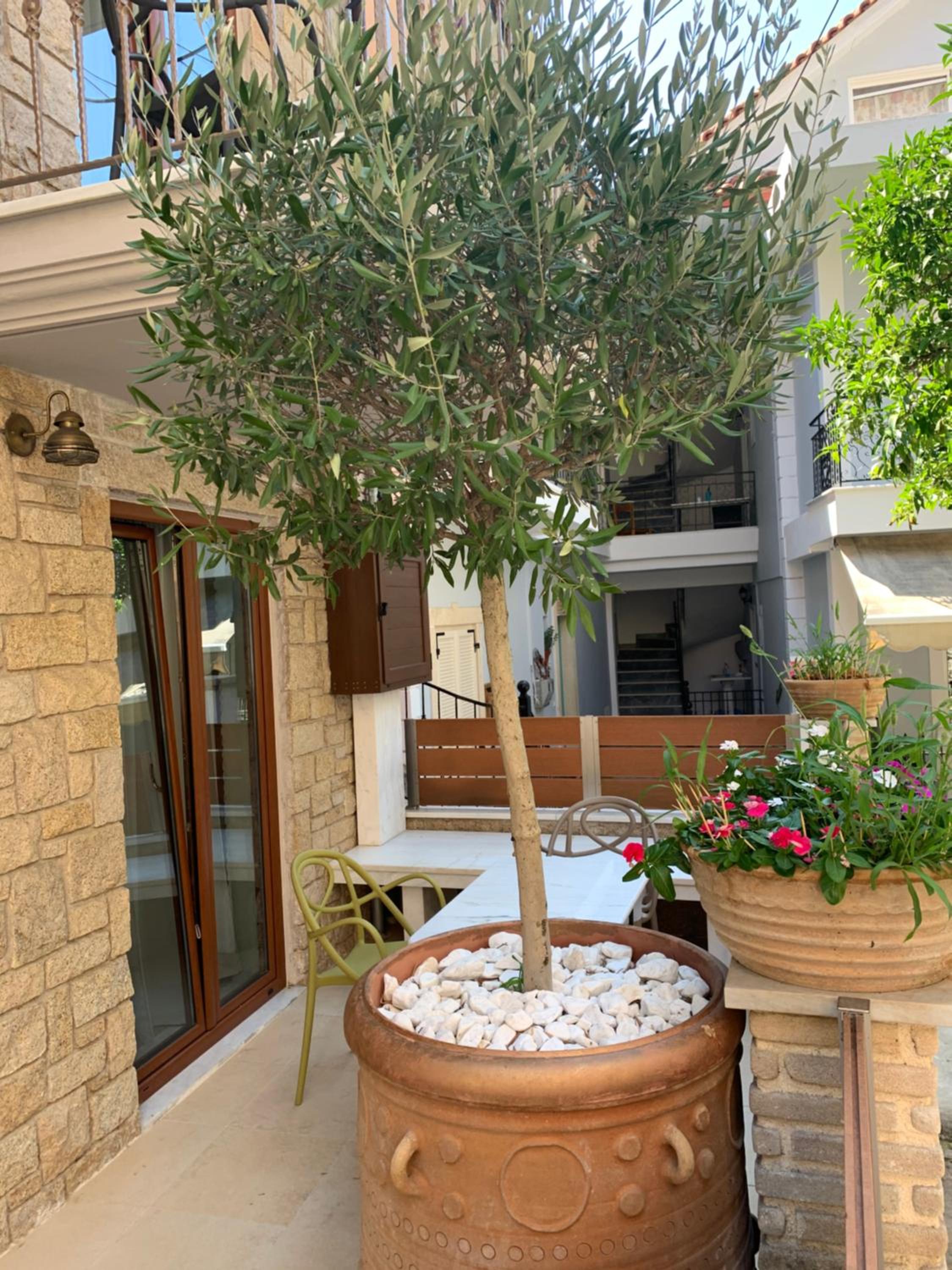 Leda Suites