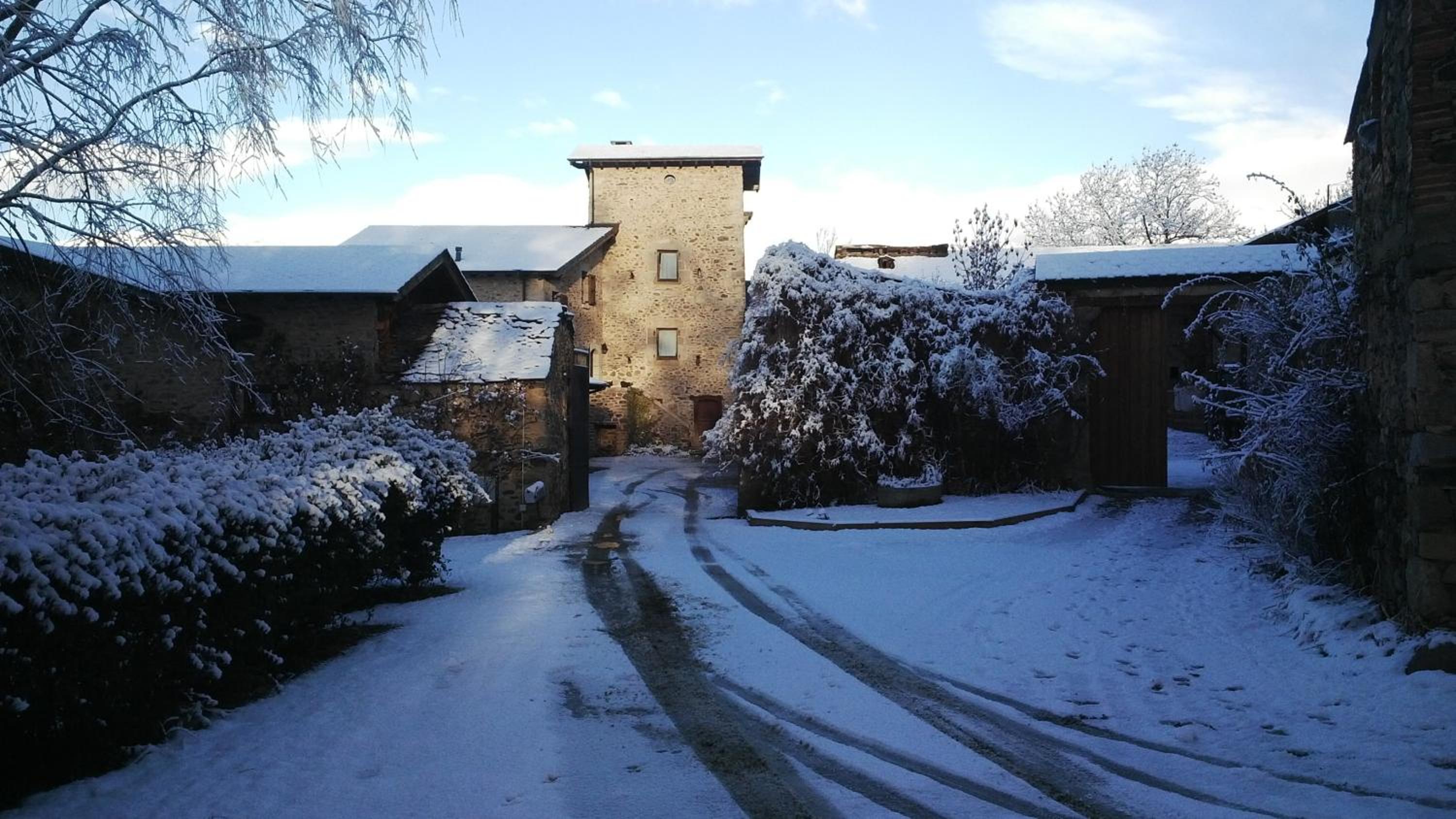 Torre Gelbert
