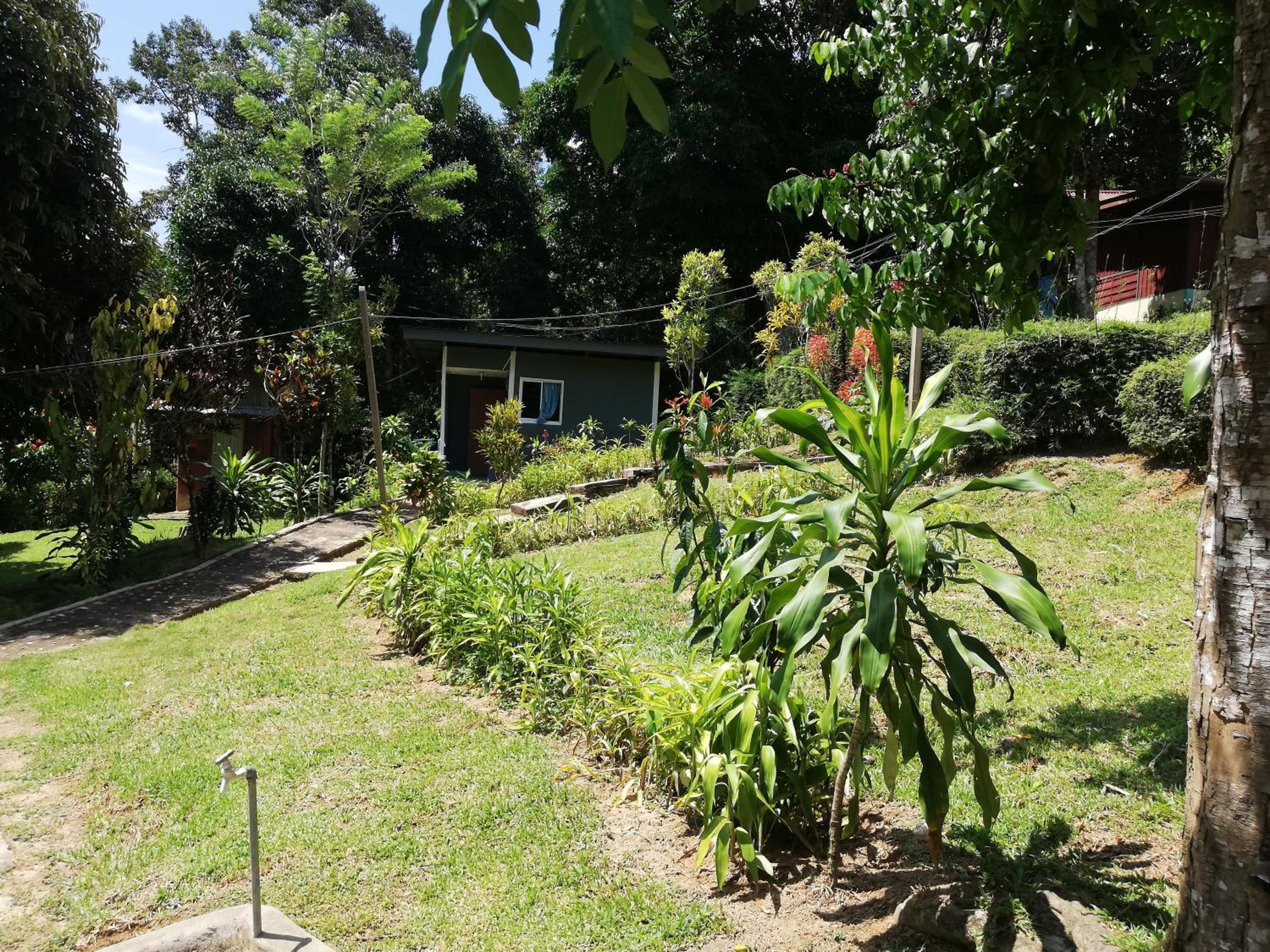Photo 18