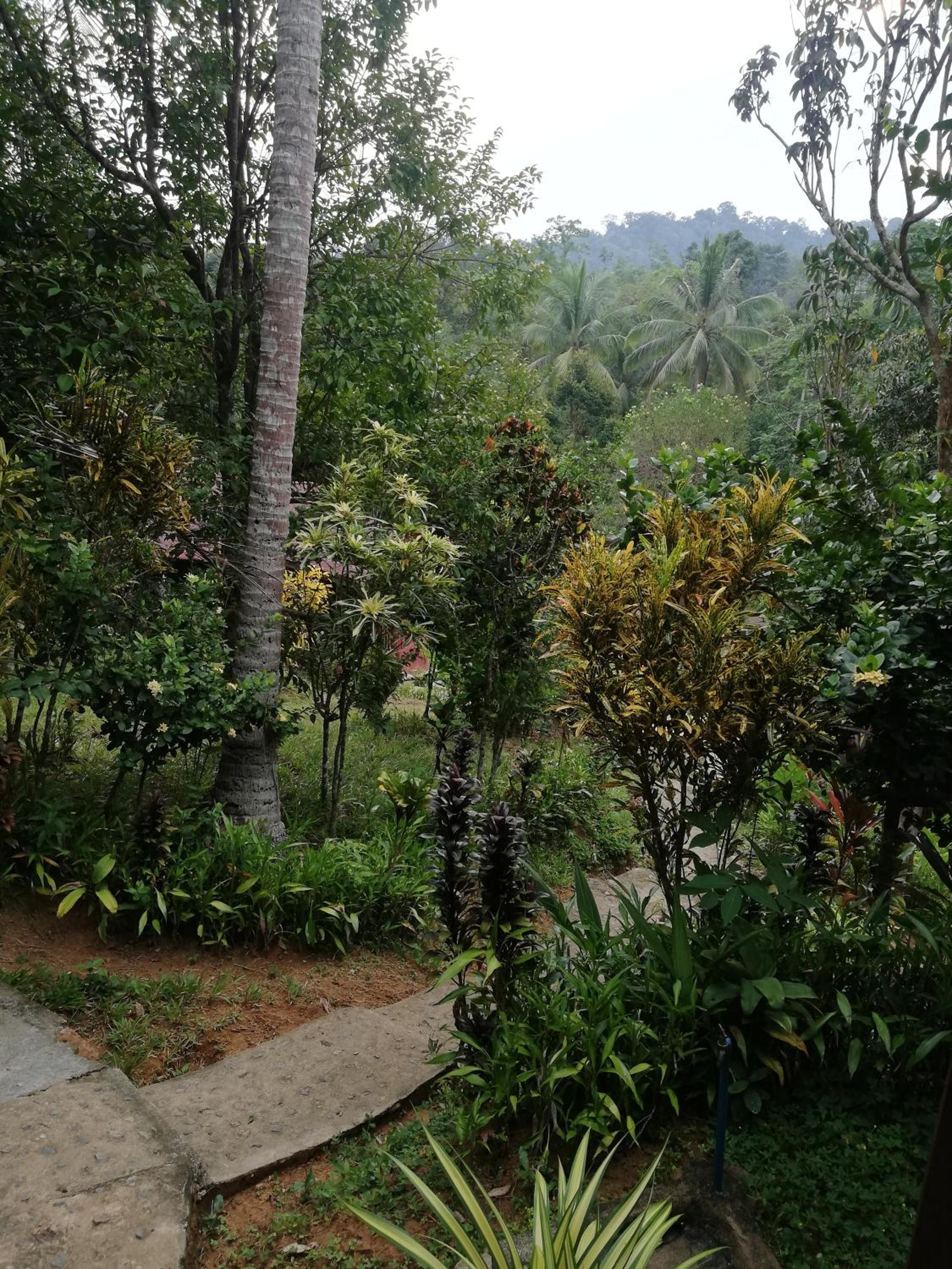 Photo 20