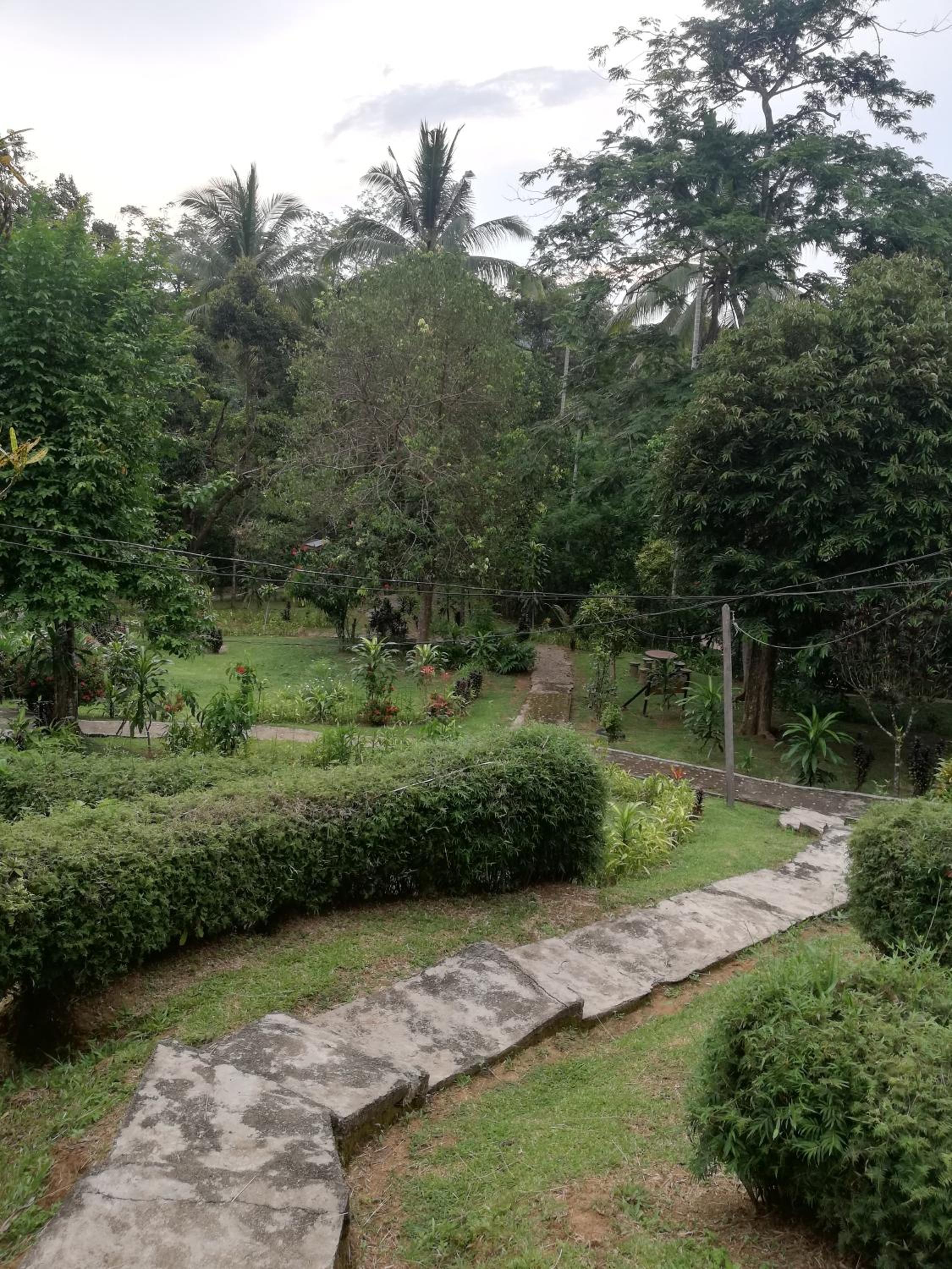 Photo 21