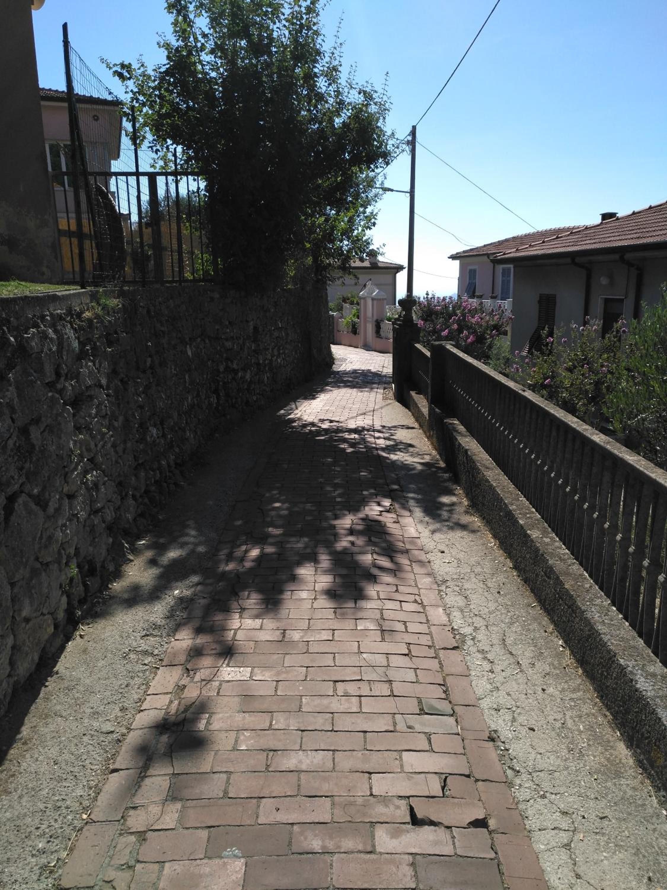 Photo 53