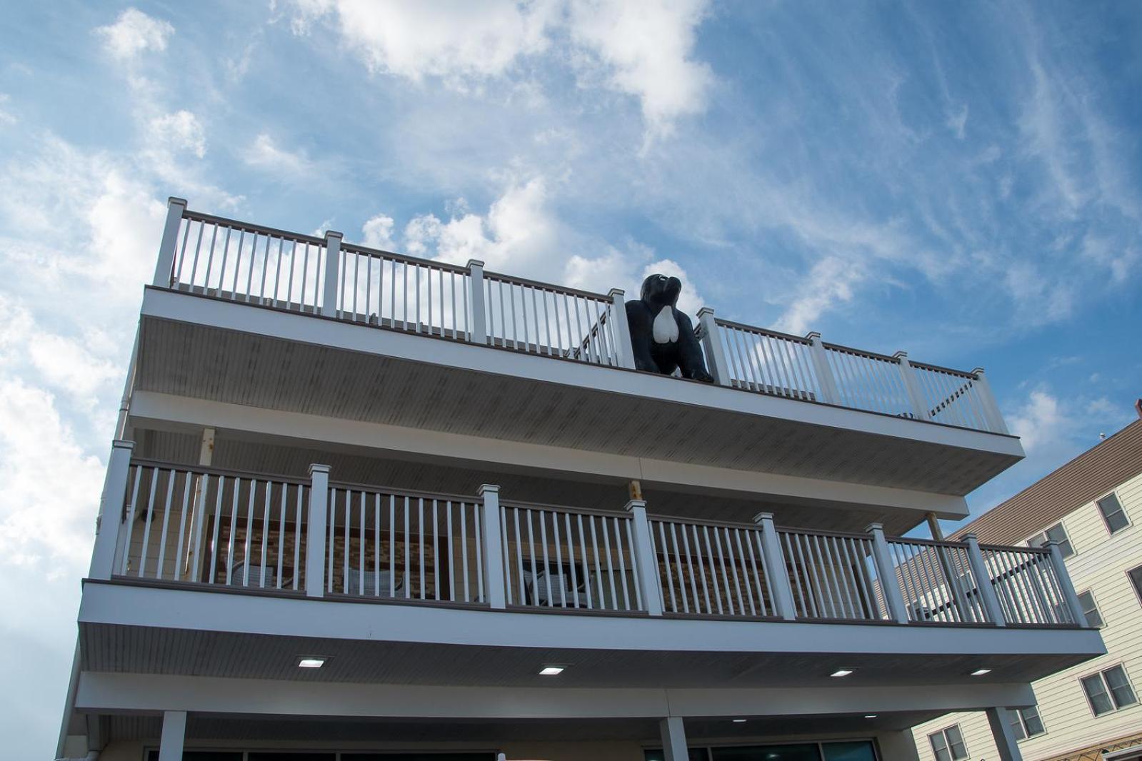Safari Hotel Boardwalk
