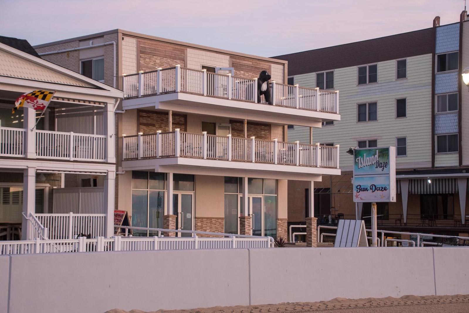 Safari Hotel Boardwalk