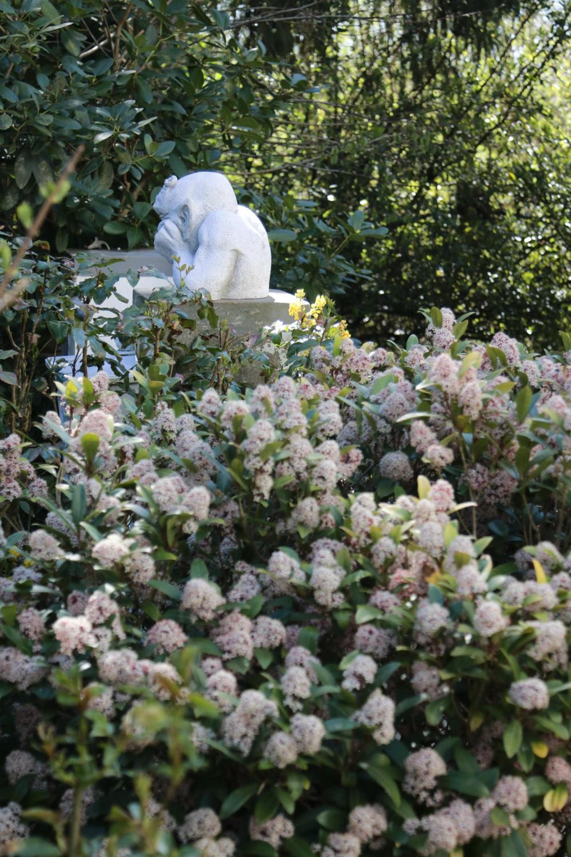 Photo 40