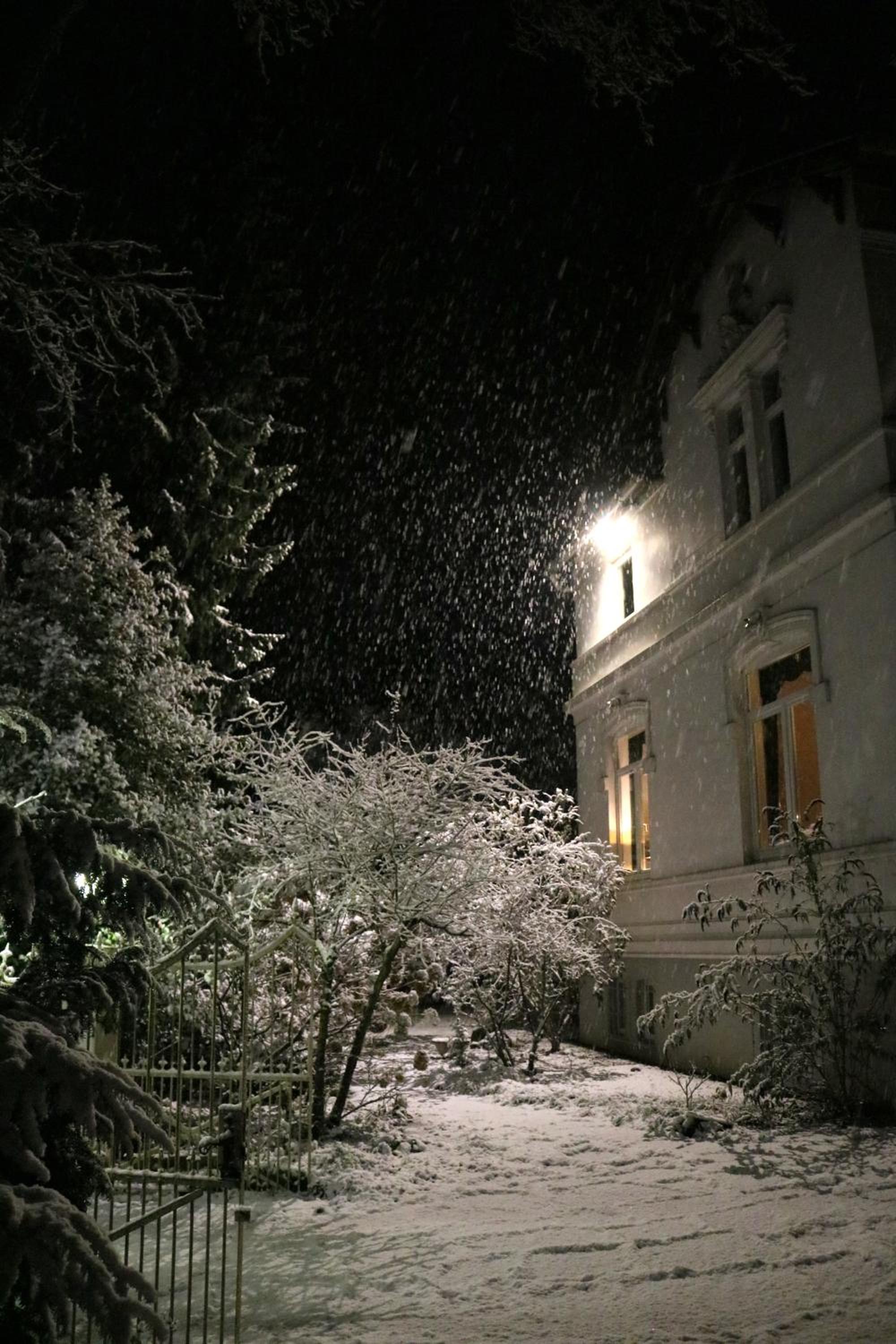 Photo 45