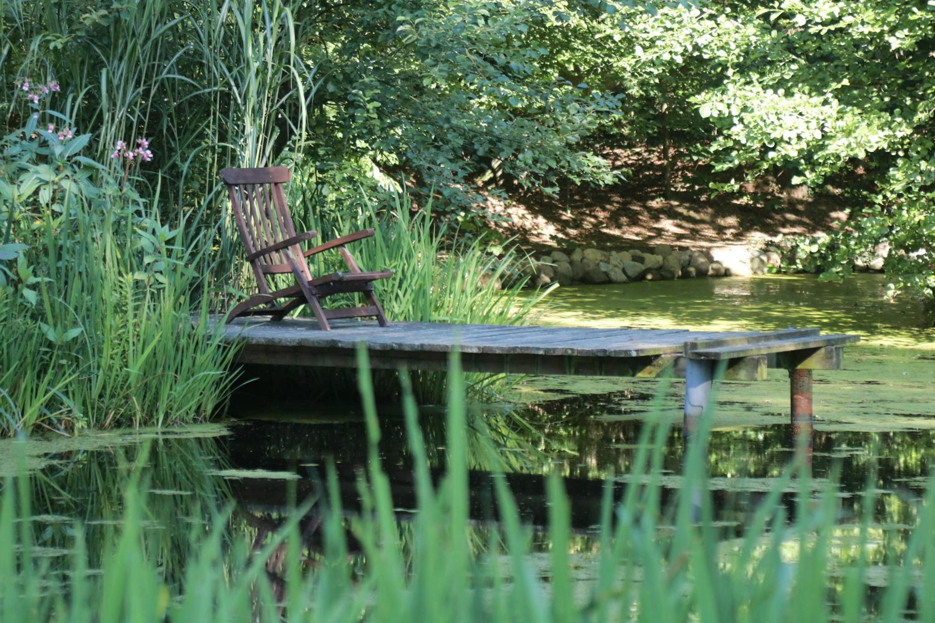 Photo 47