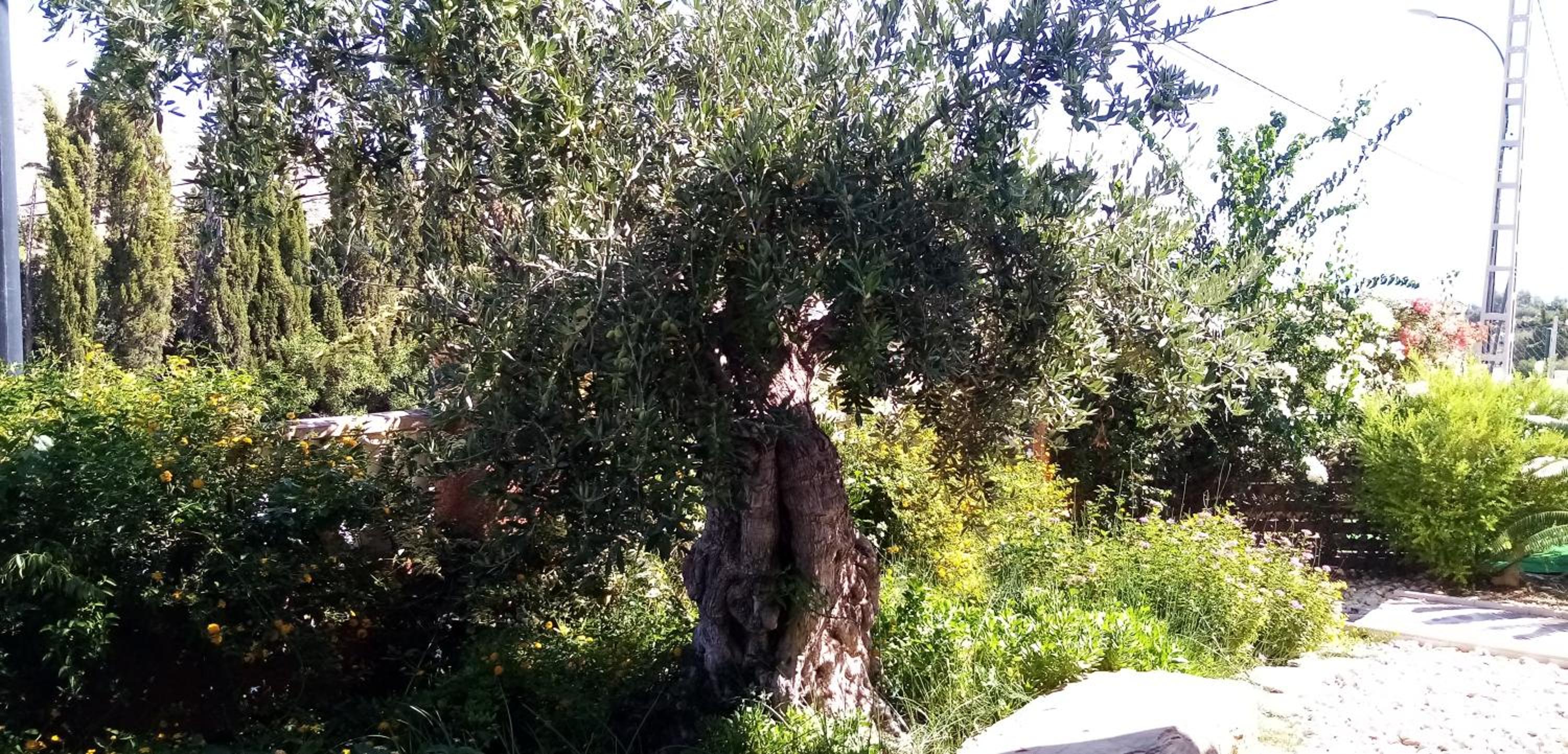 Photo 22