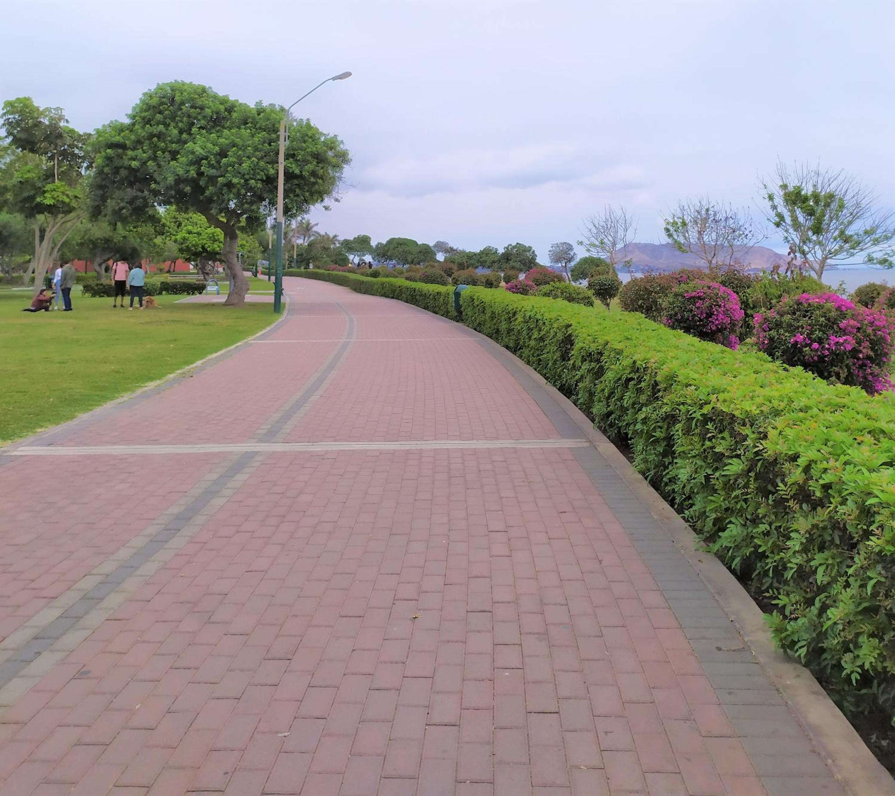 Photo 26