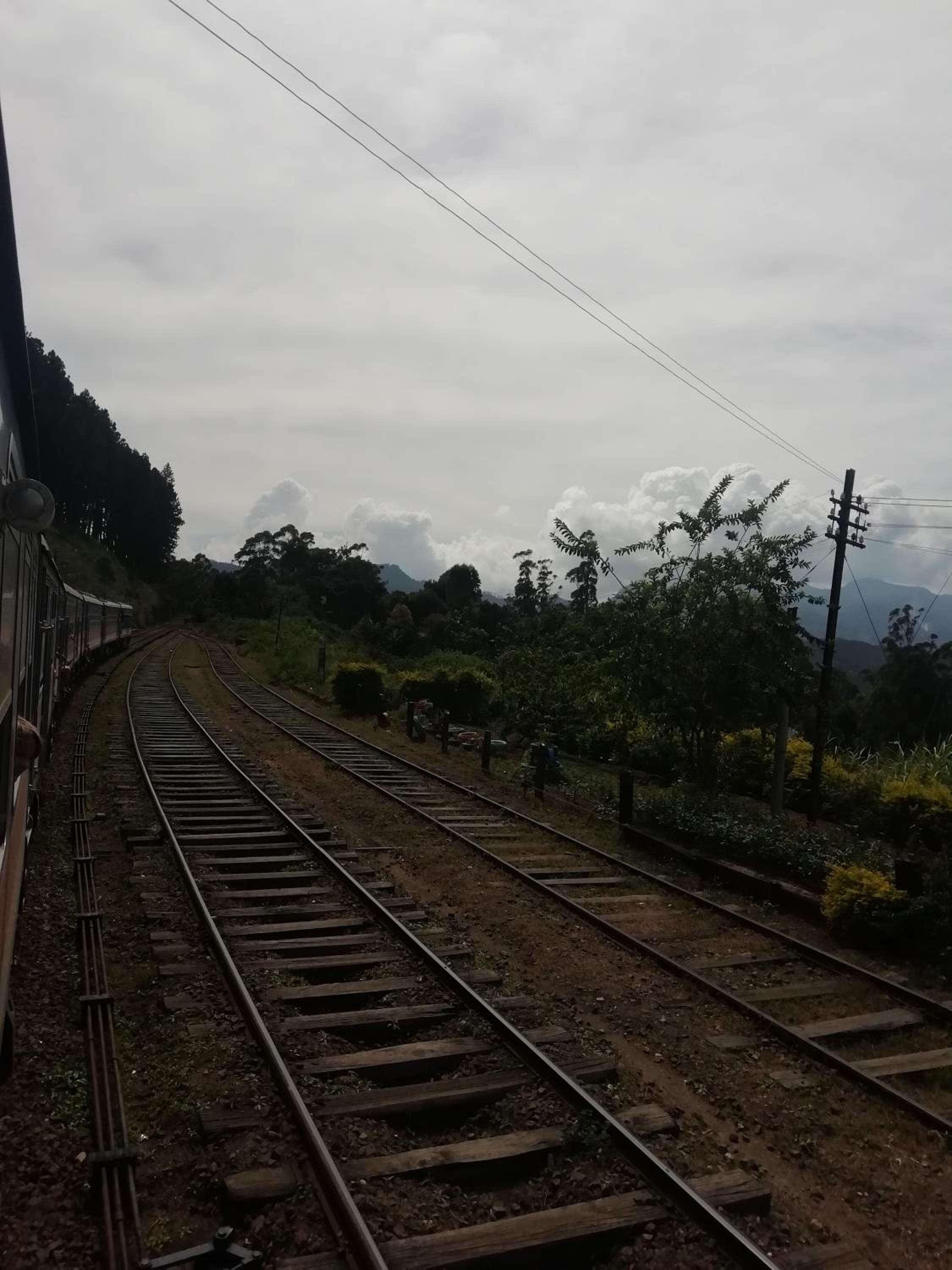 Tea Garden Diyatalawa