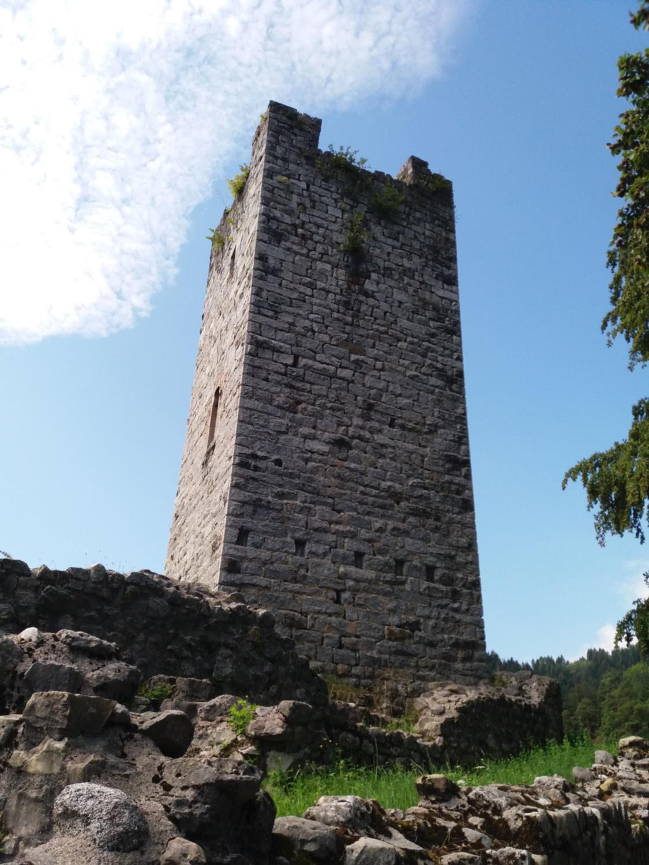 Photo 19
