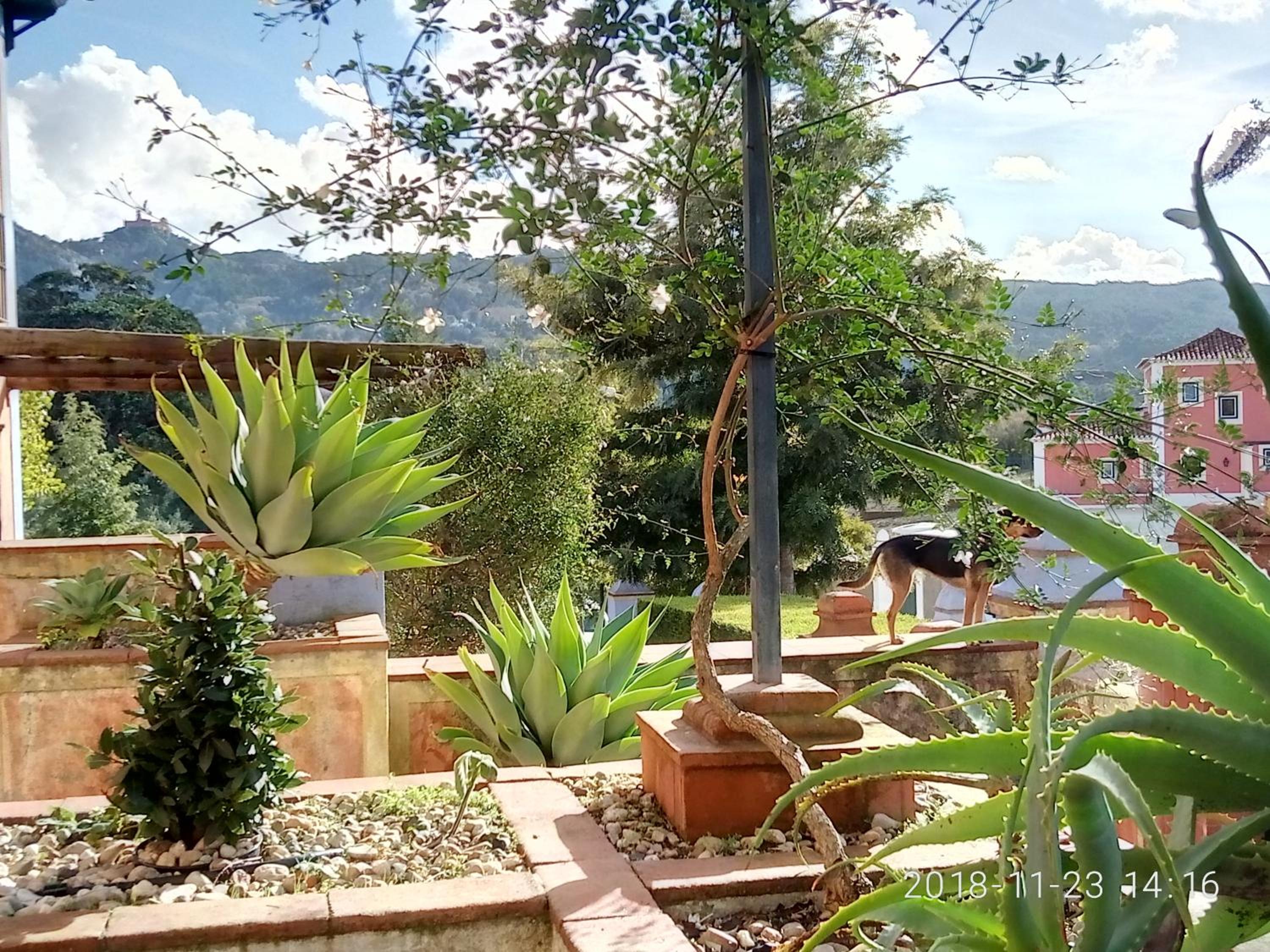 Casa de Santo Amaro view 5