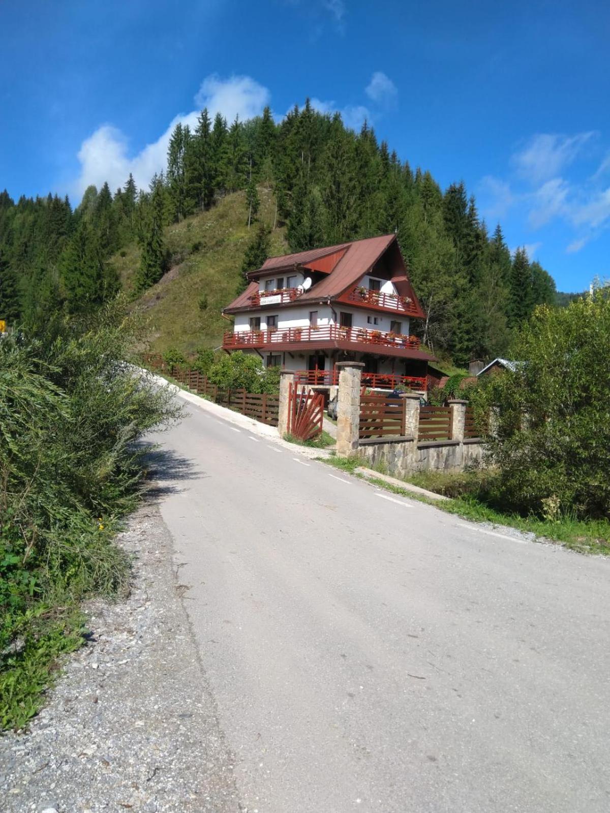 Pensiunea Roua Diminetilor view 3