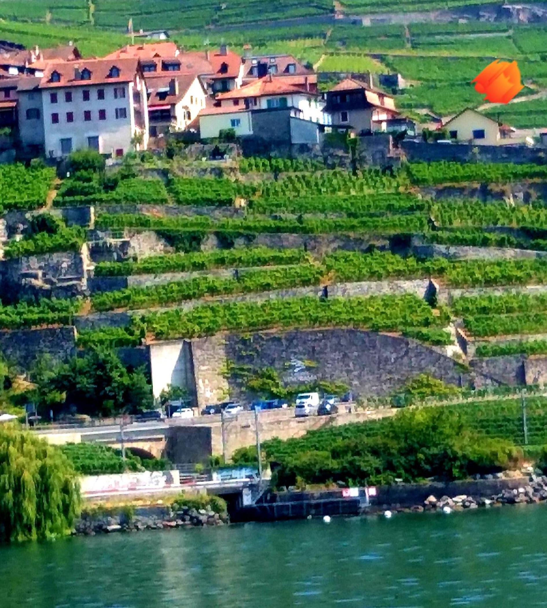 La Gremillette Gourmande Lavaux view 3