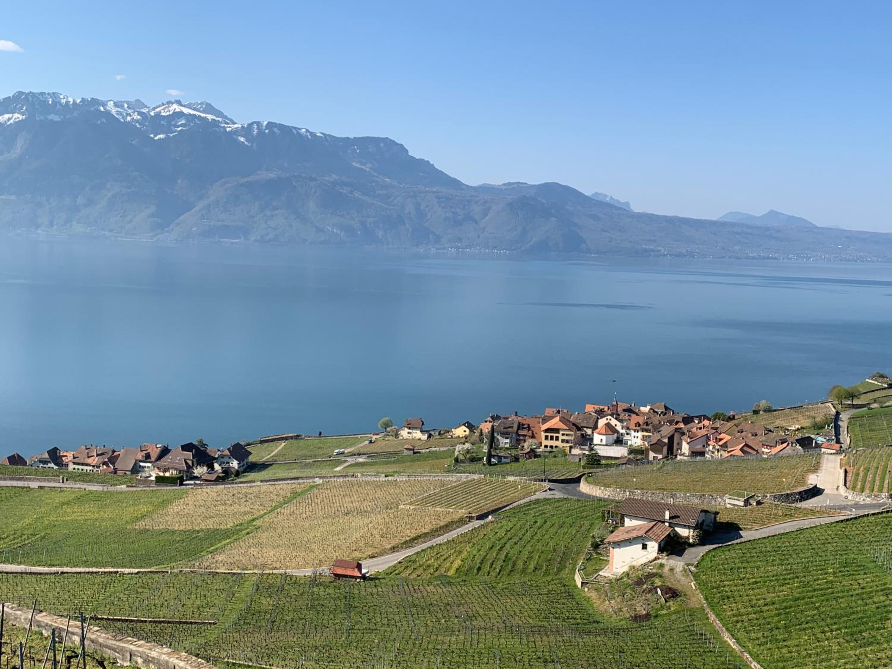 La Gremillette Gourmande Lavaux view 2
