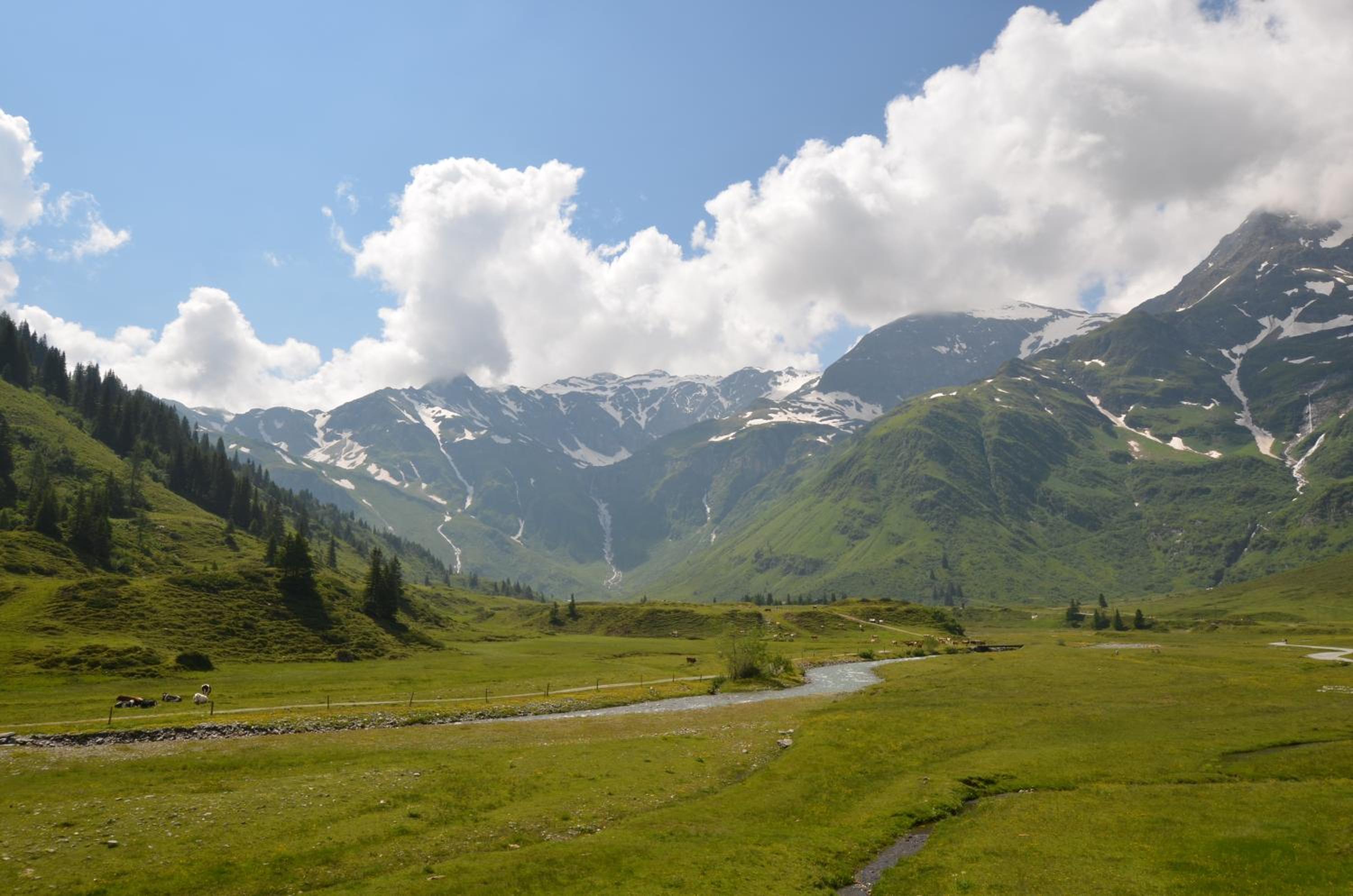 Winklers Gipfelblick Chalet, inklusive Alpentherme - Ganzjährig, Gasteiner Bergbahn - nur Sommer