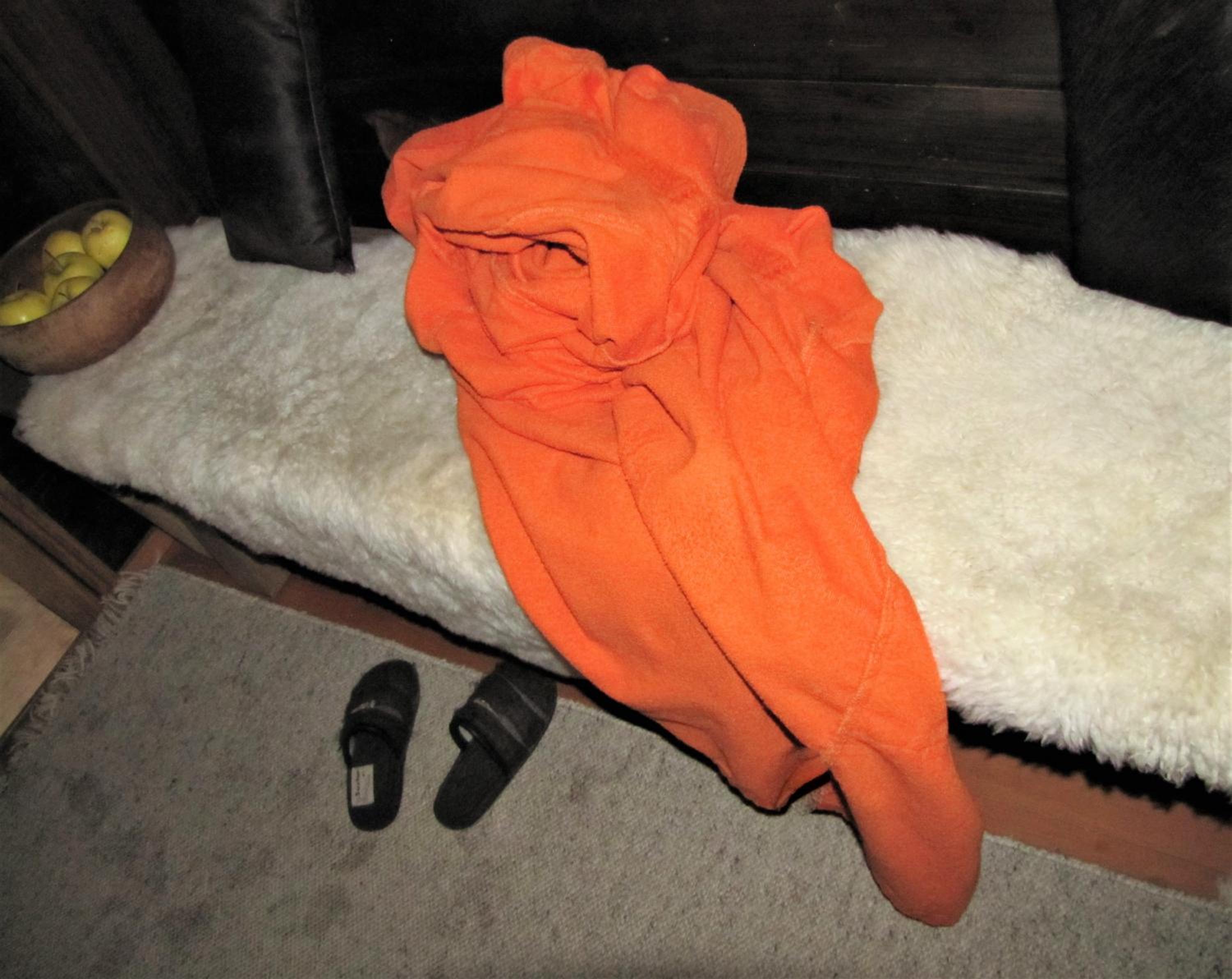Photo 27