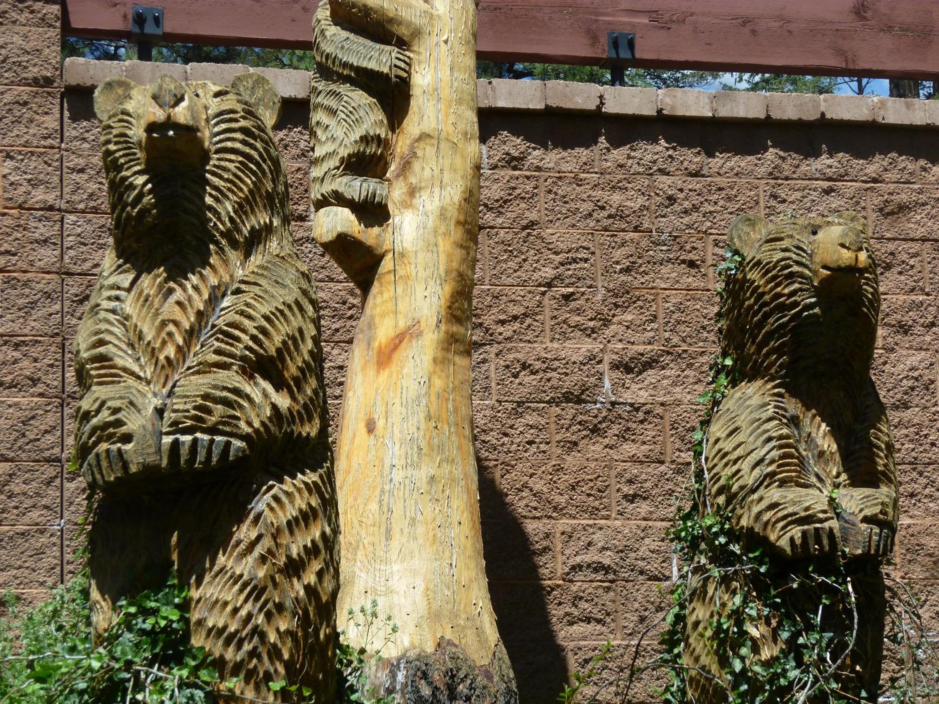 Ruidoso River Resort Condos