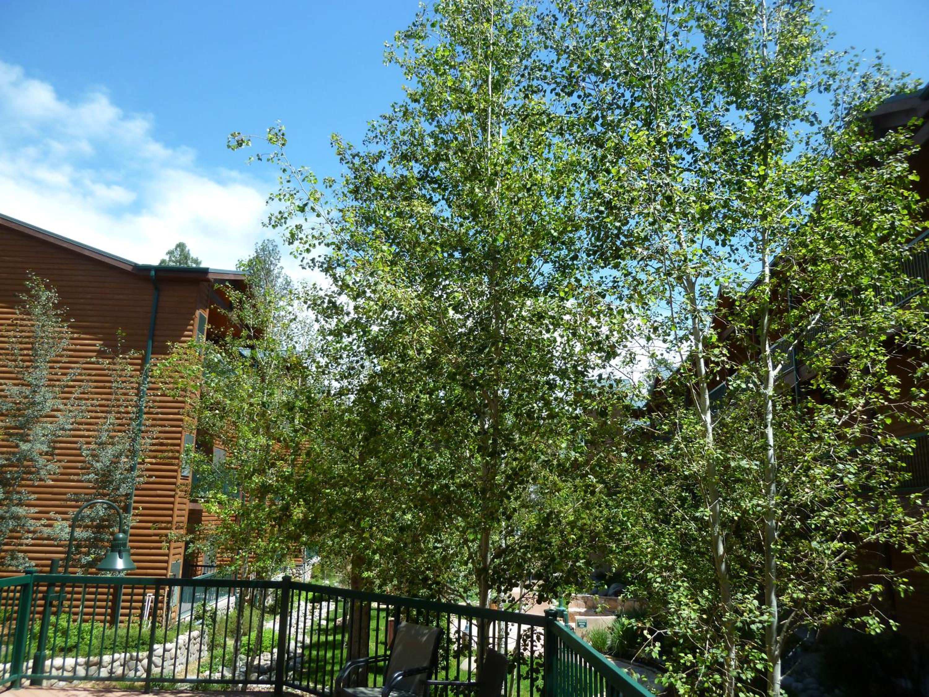 Ruidoso River Resort Condos