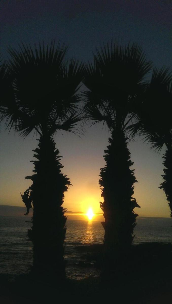 Apartamento Drago view 5