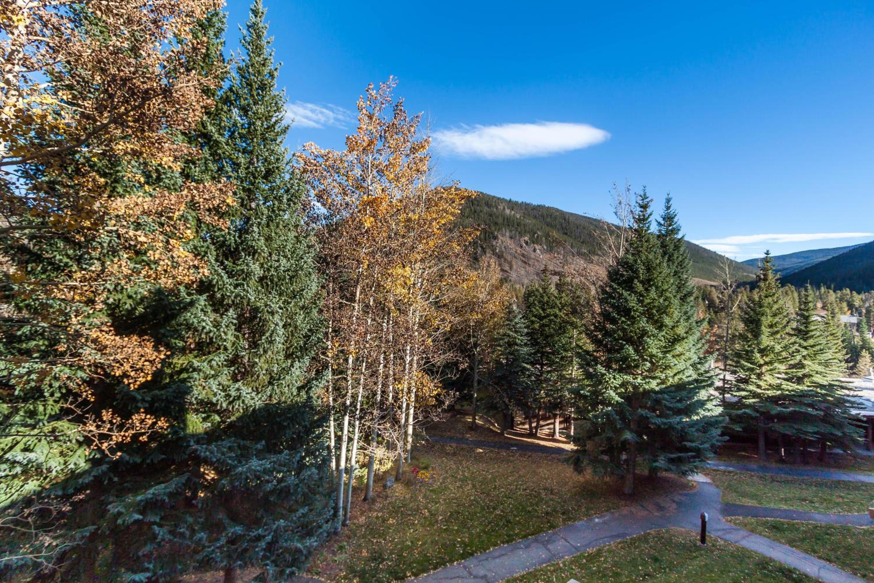 Lodgepole 2008 view 5
