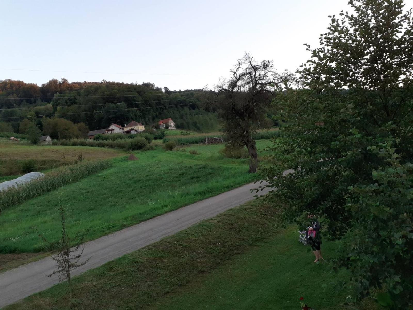 Photo 52