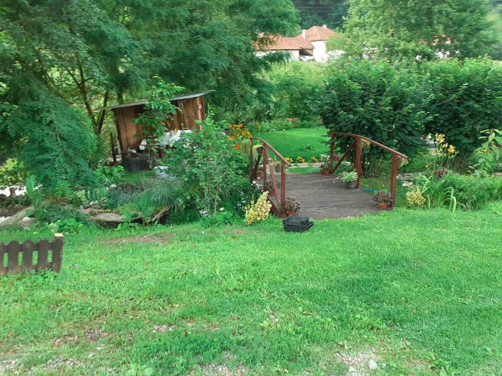 Photo 58