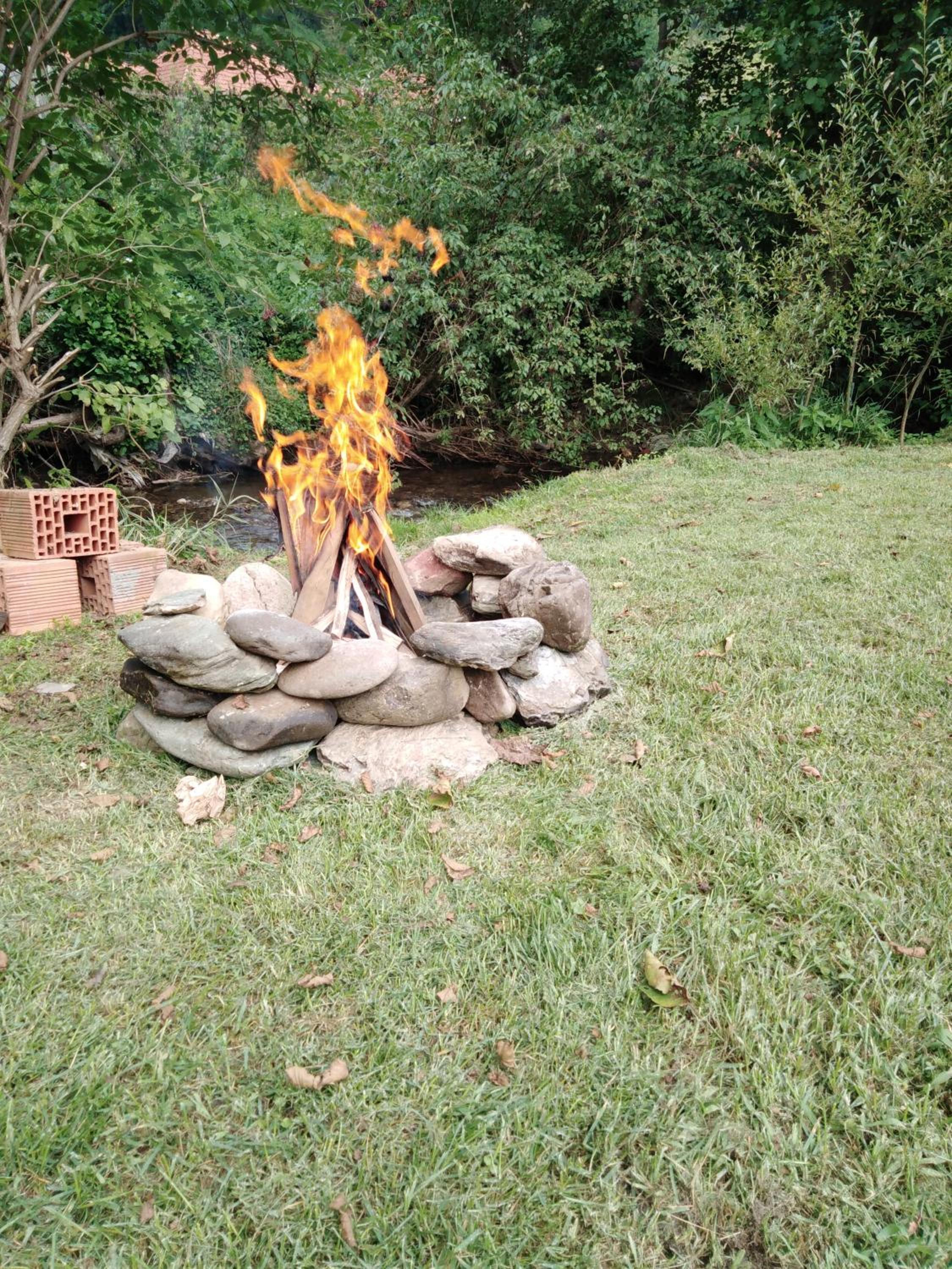 Photo 51