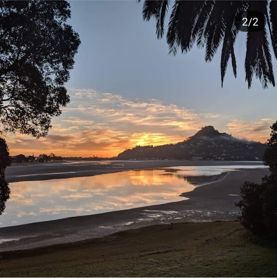 Paku Lodge Resort