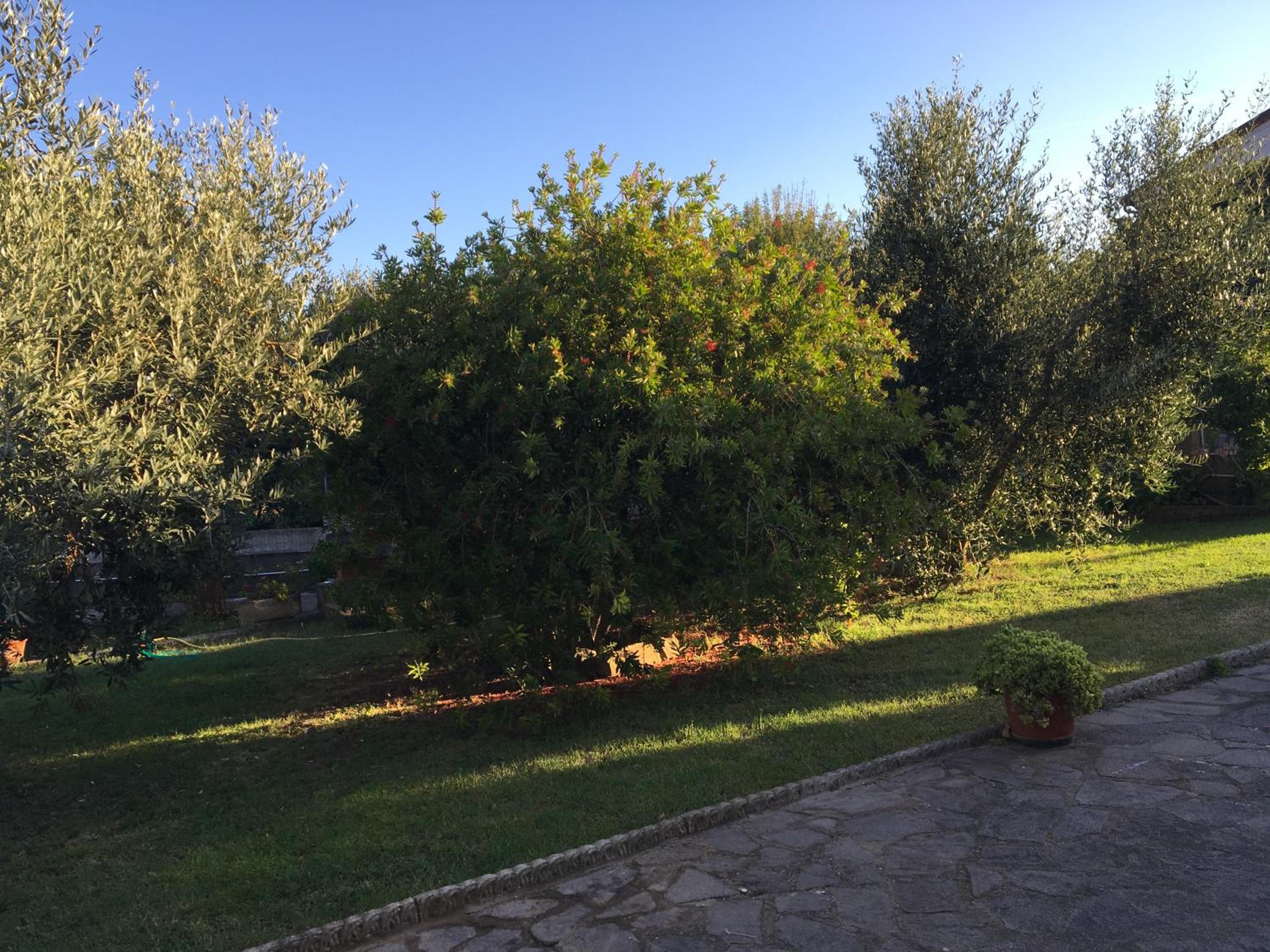 Photo 24